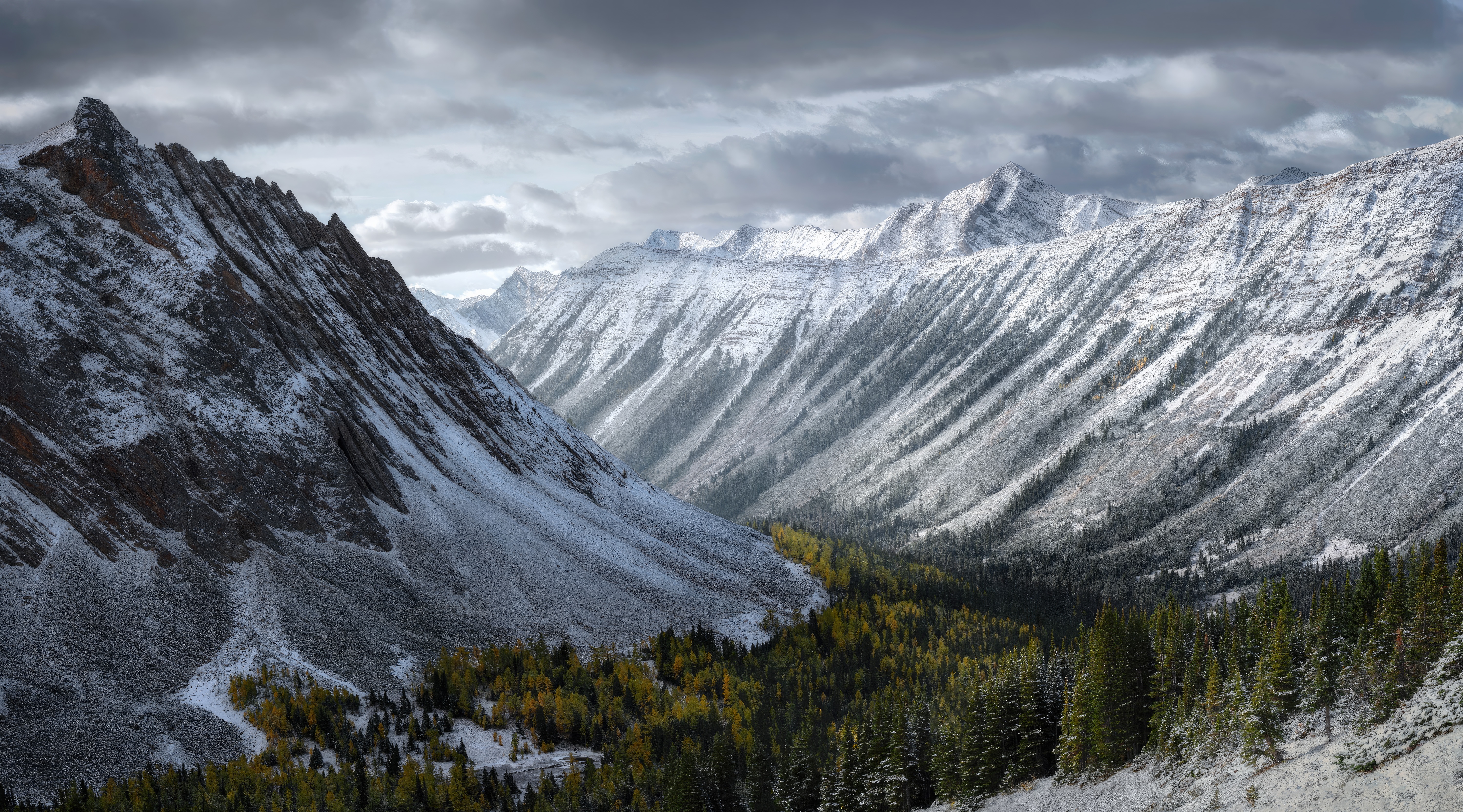 Snowy mountain valley with pine trees HD Wallpaper