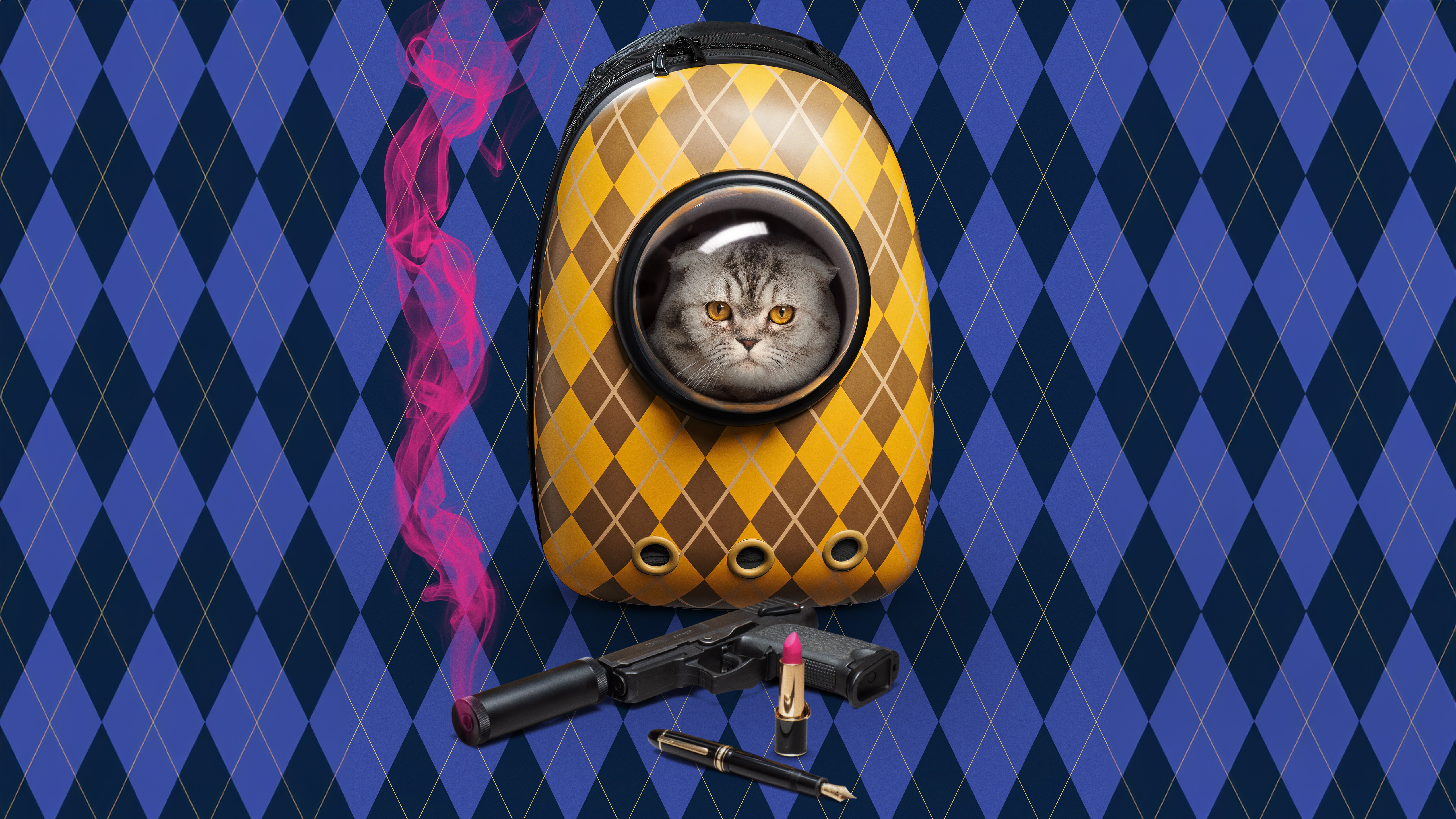 Argylle Movie Cat in Carrier with Gun and Lipstick HD Wallpaper