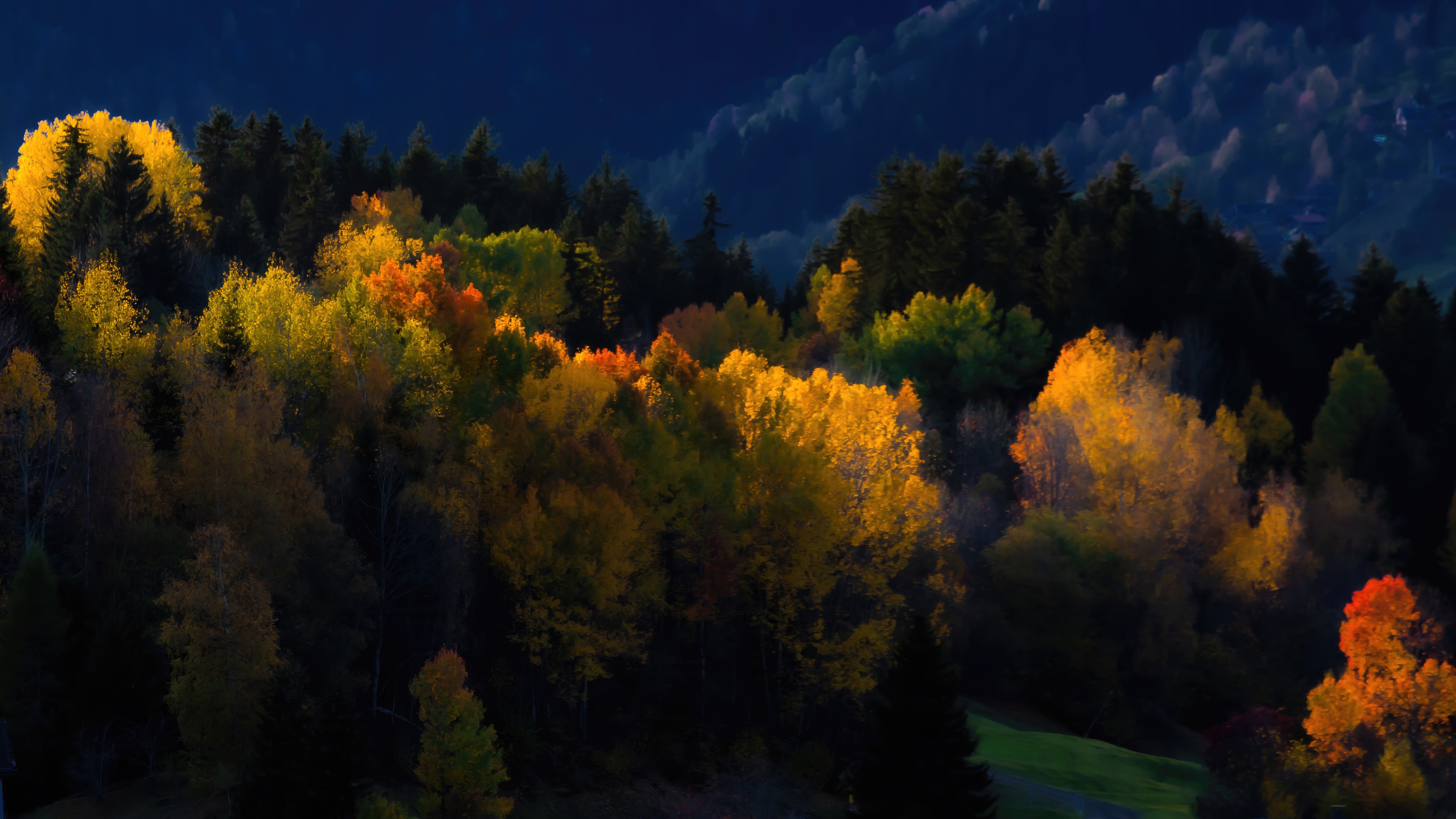 Autumn forest in Surselva, Switzerland HD Wallpaper
