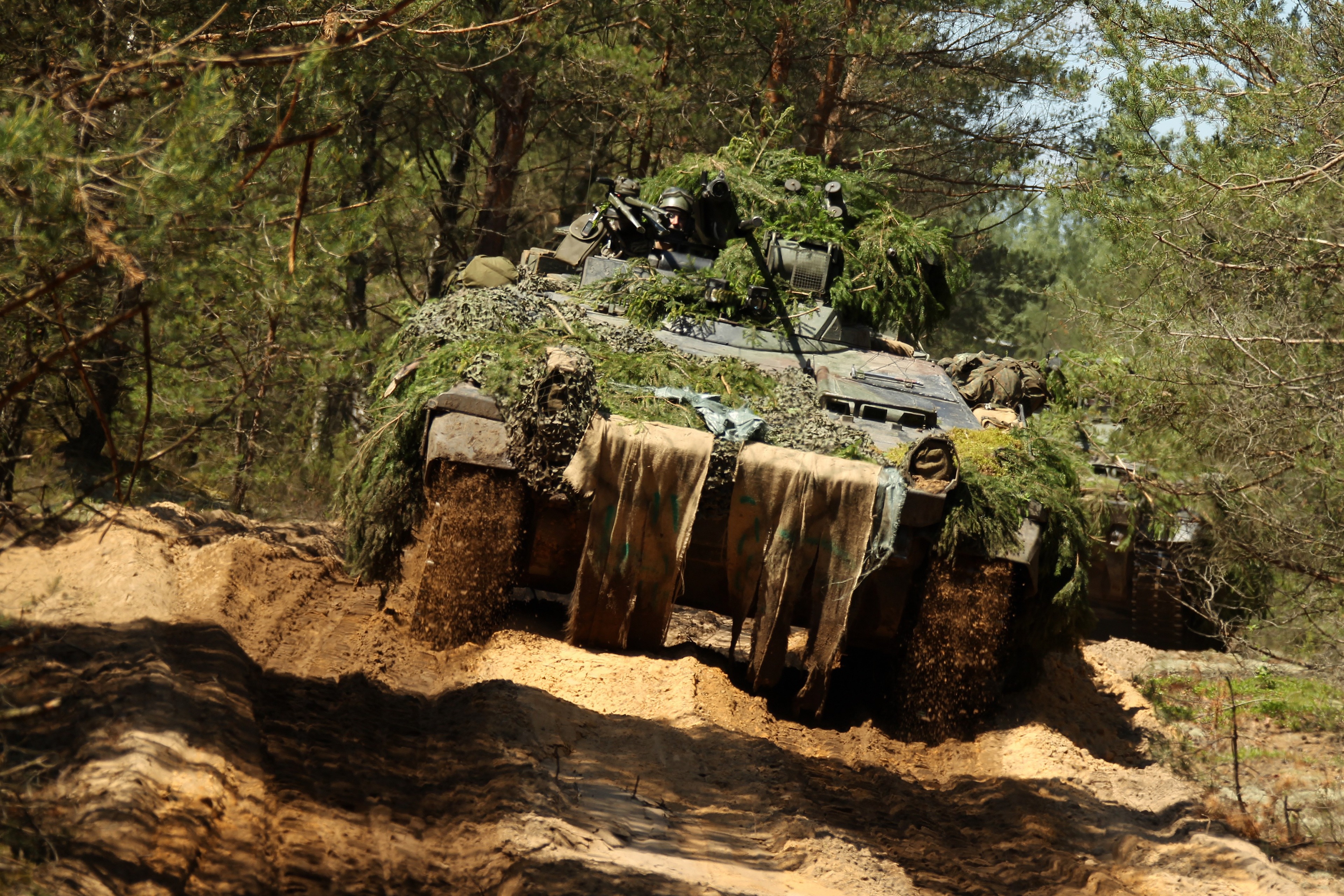 Tank in a forest HD Wallpaper