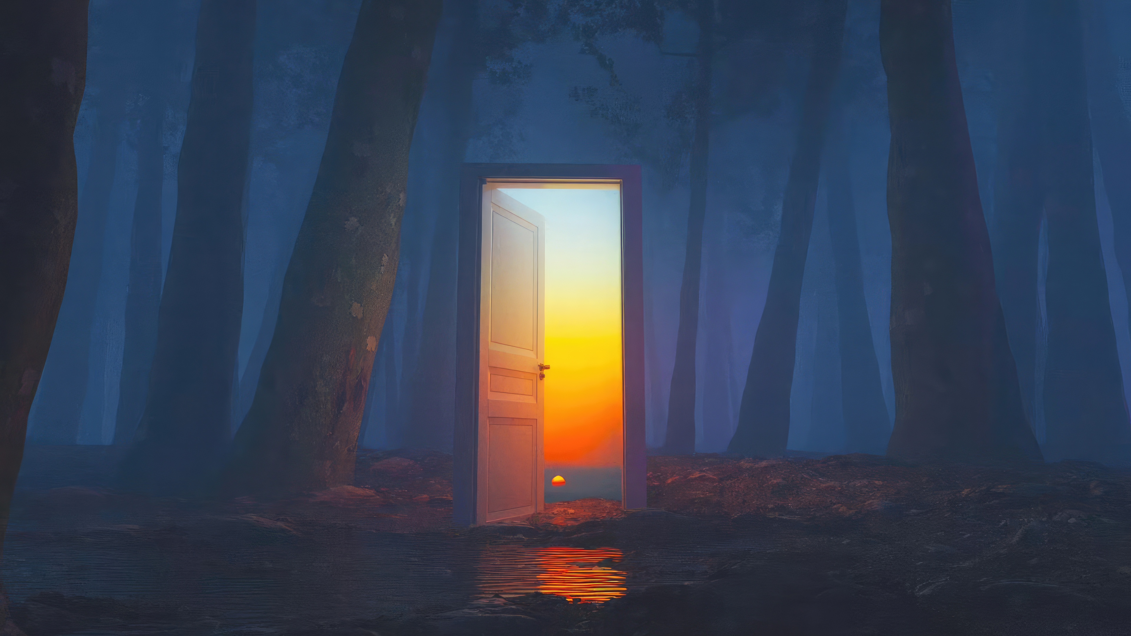 Doorway to a sunset in a misty forest HD Wallpaper