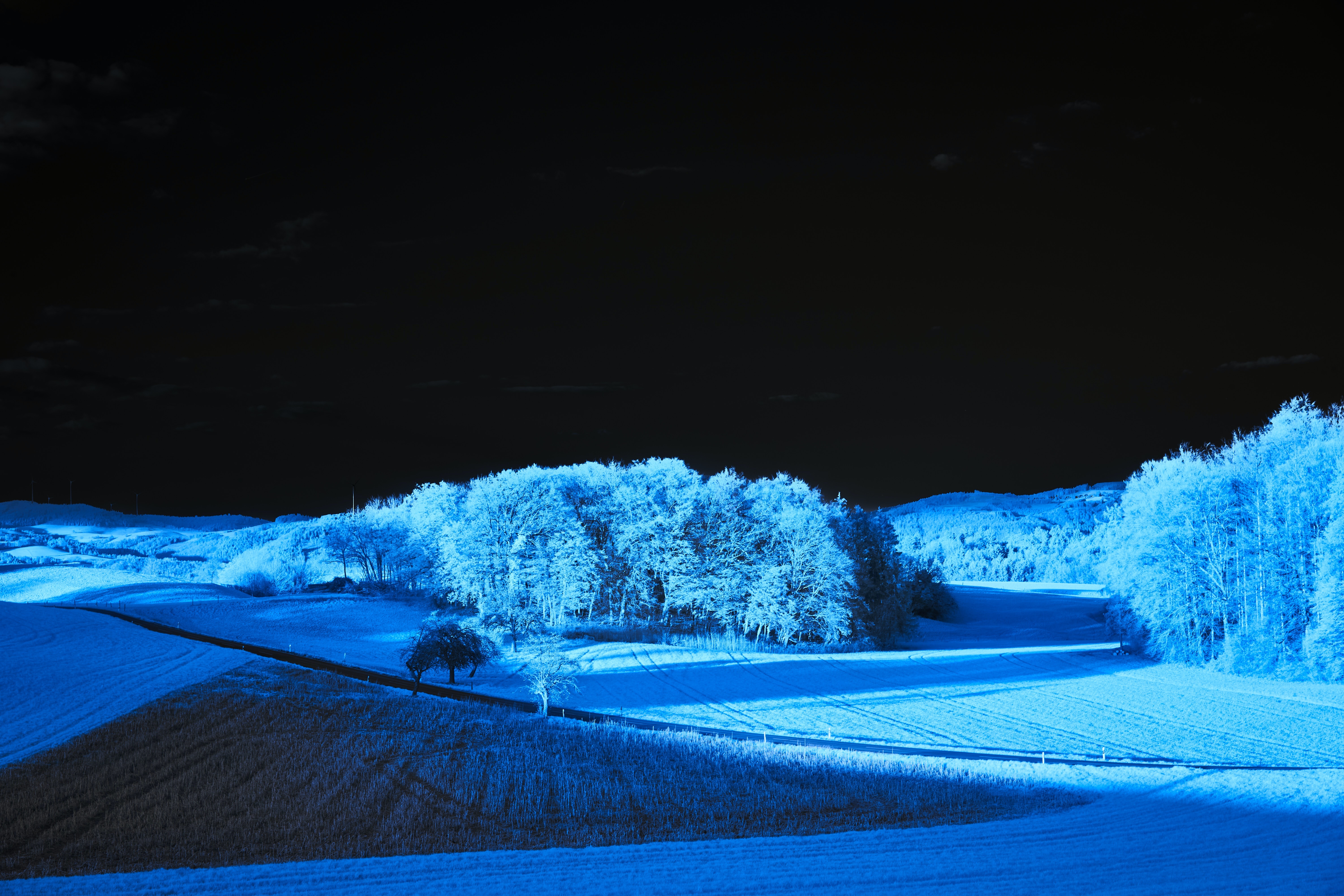 Blue Landscape with Trees and Fields HD Wallpaper