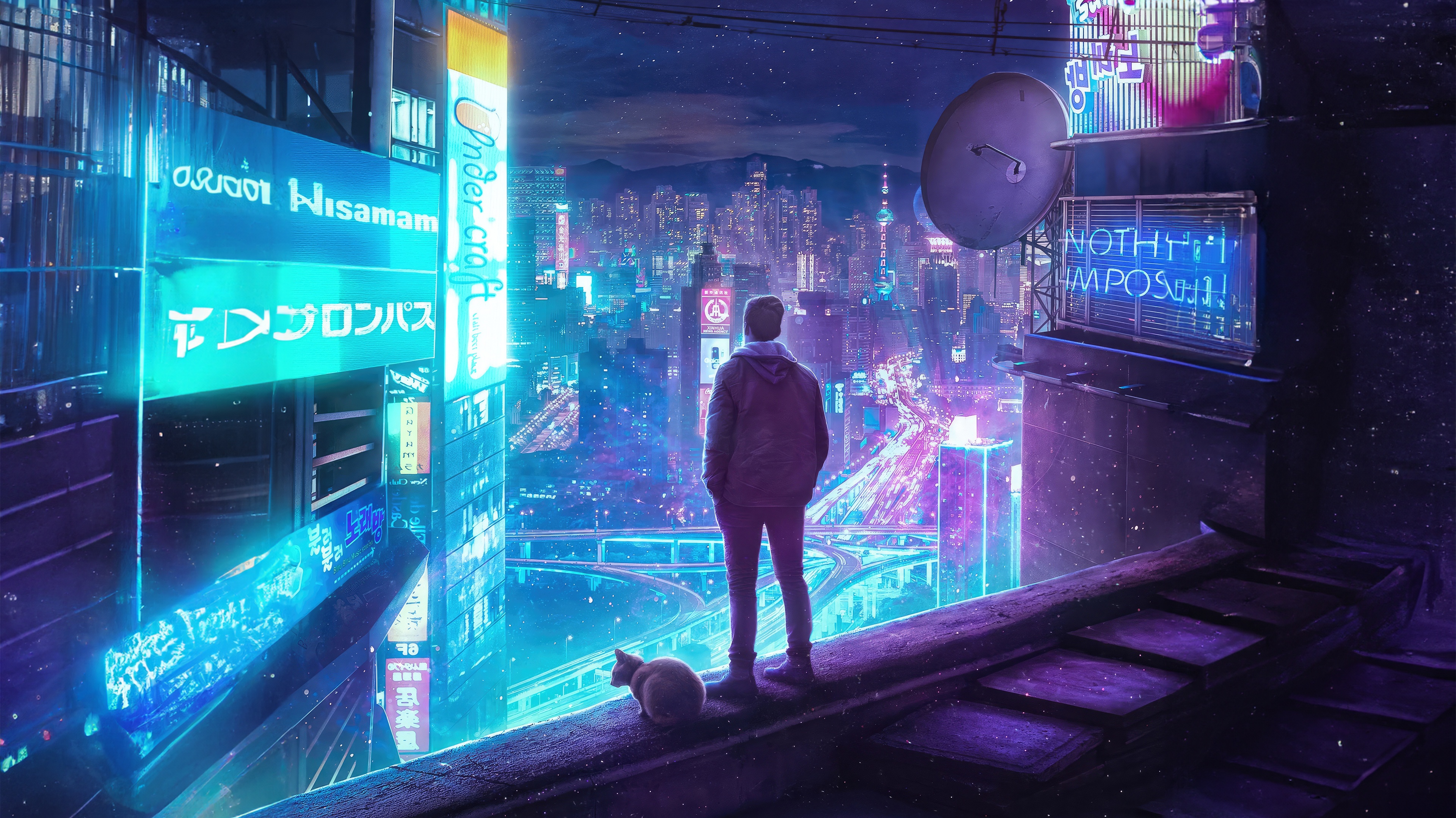 Man and cat overlooking a neon city at night HD Wallpaper