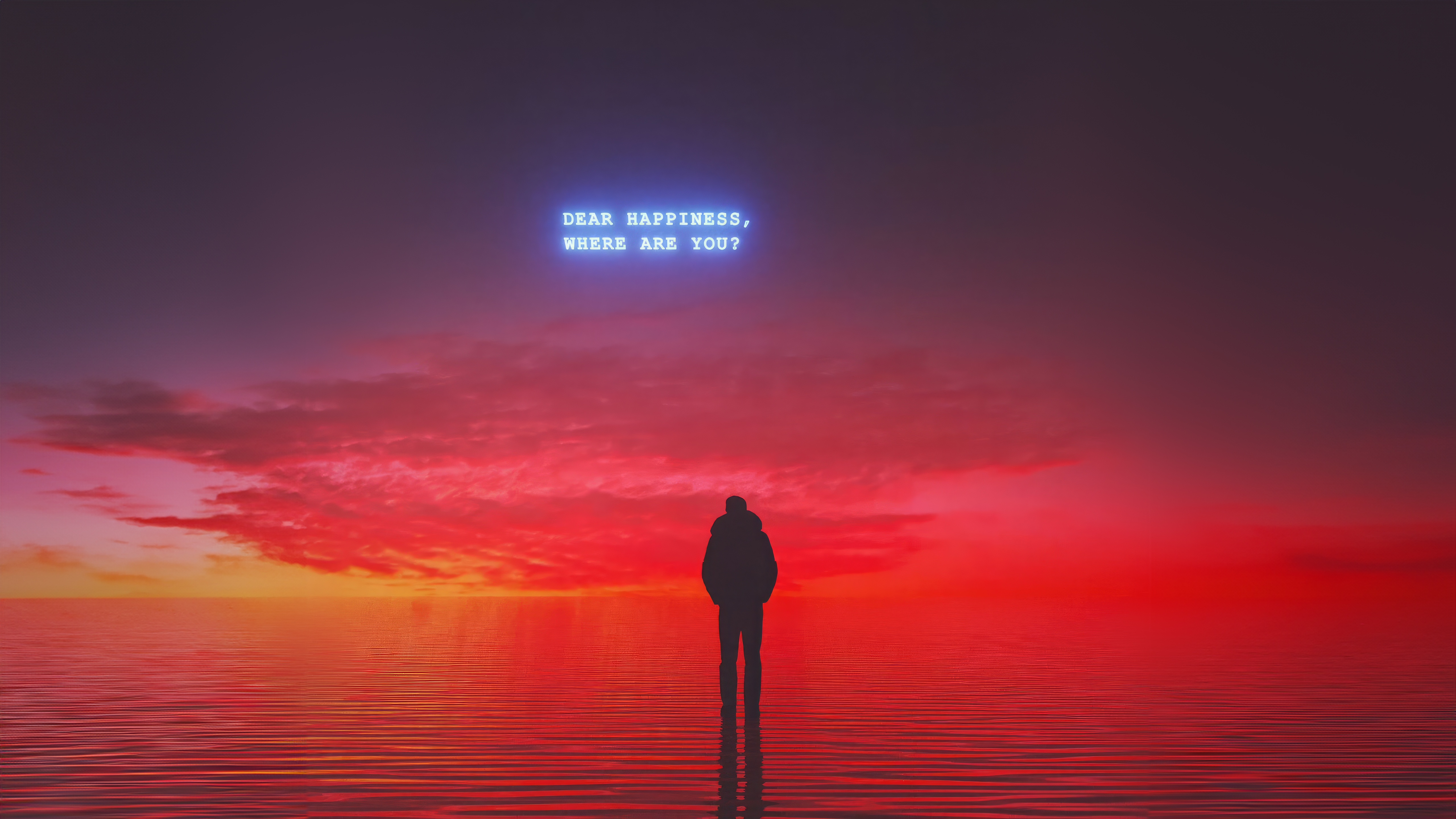 Dear Happiness Where Are You Neon Sign HD Wallpaper