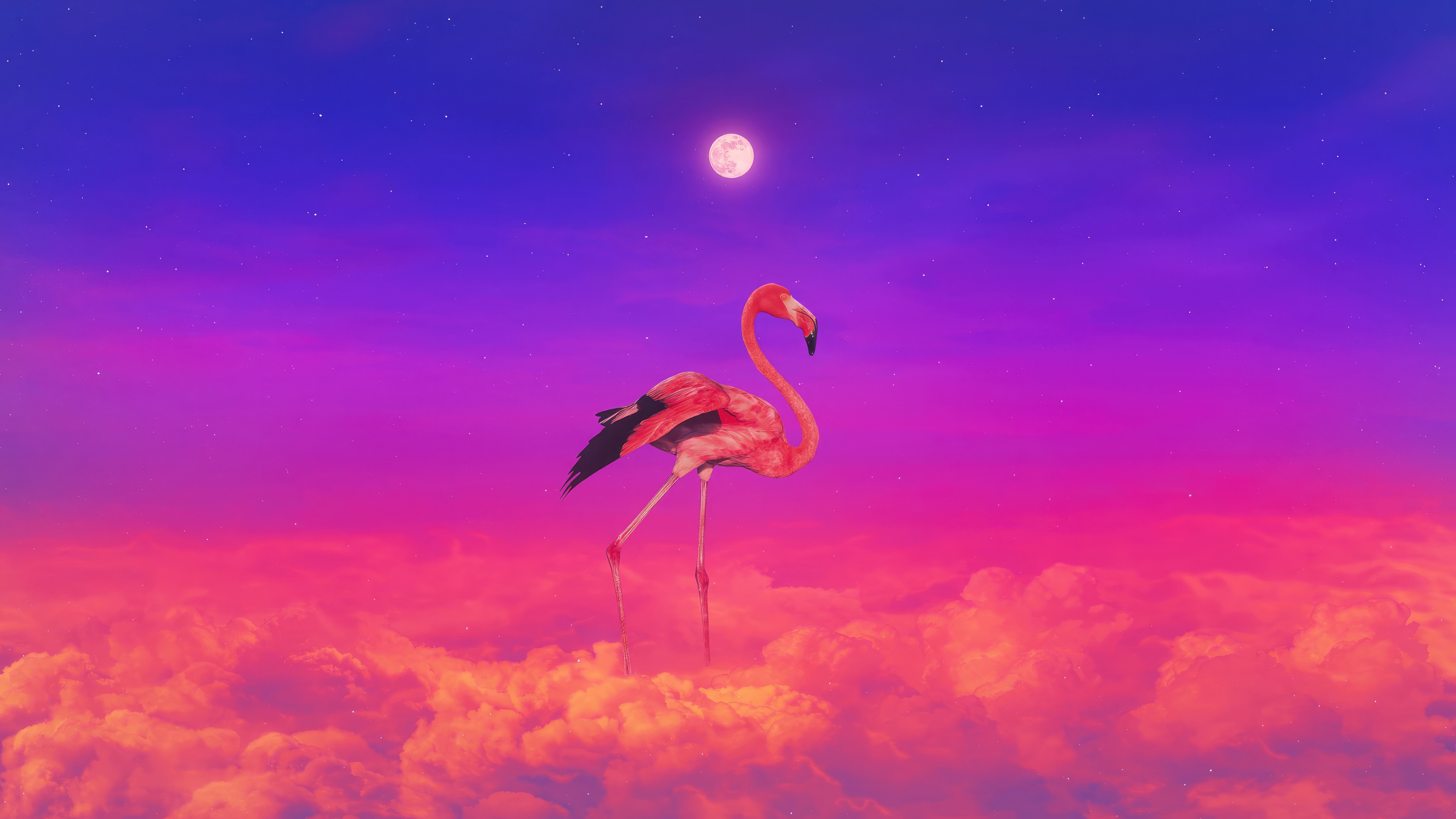 Flamingo in a colorful sky with clouds and moon HD Wallpaper