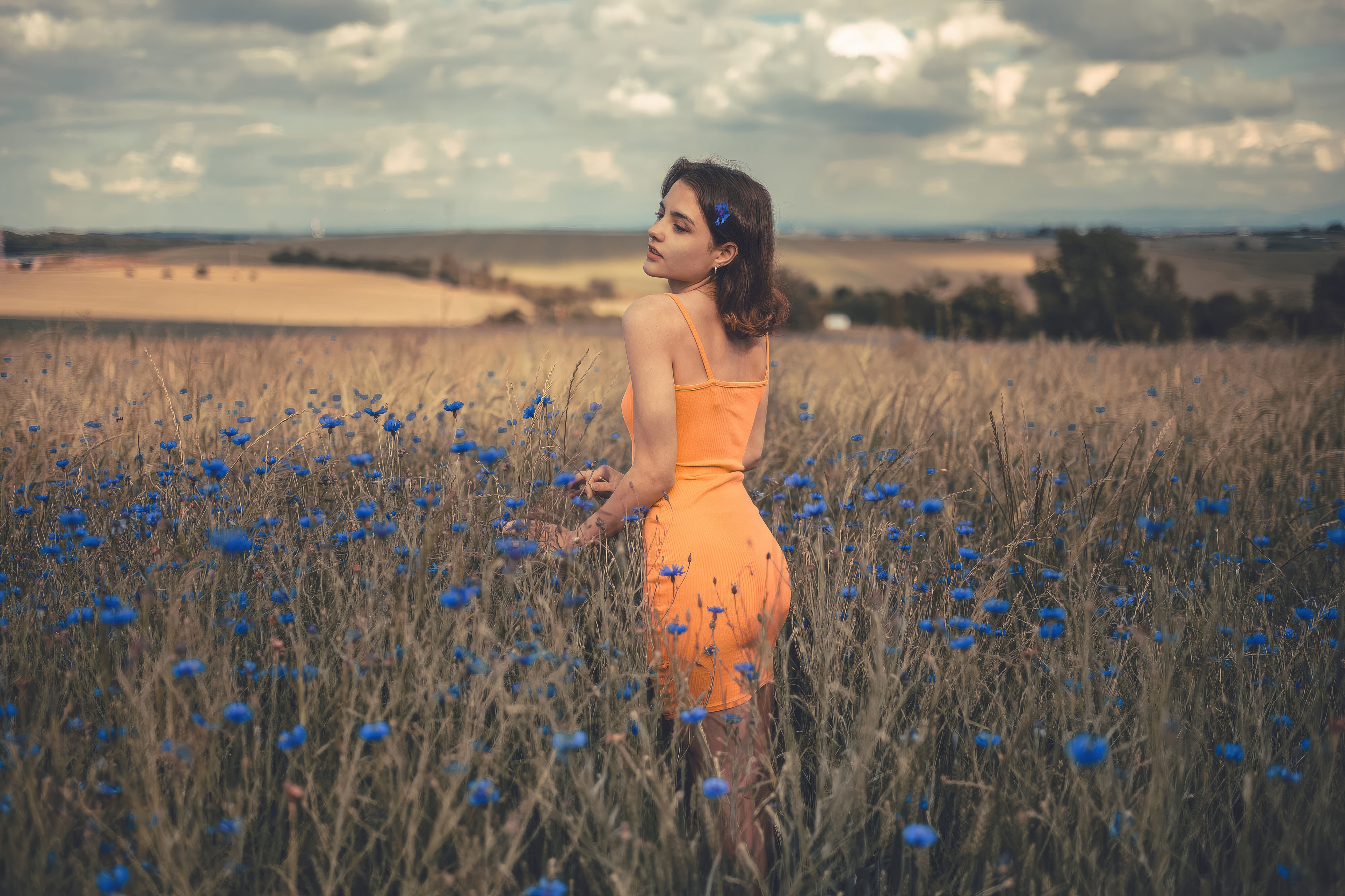 Girl in orange dress in a field of blue flowers HD Wallpaper