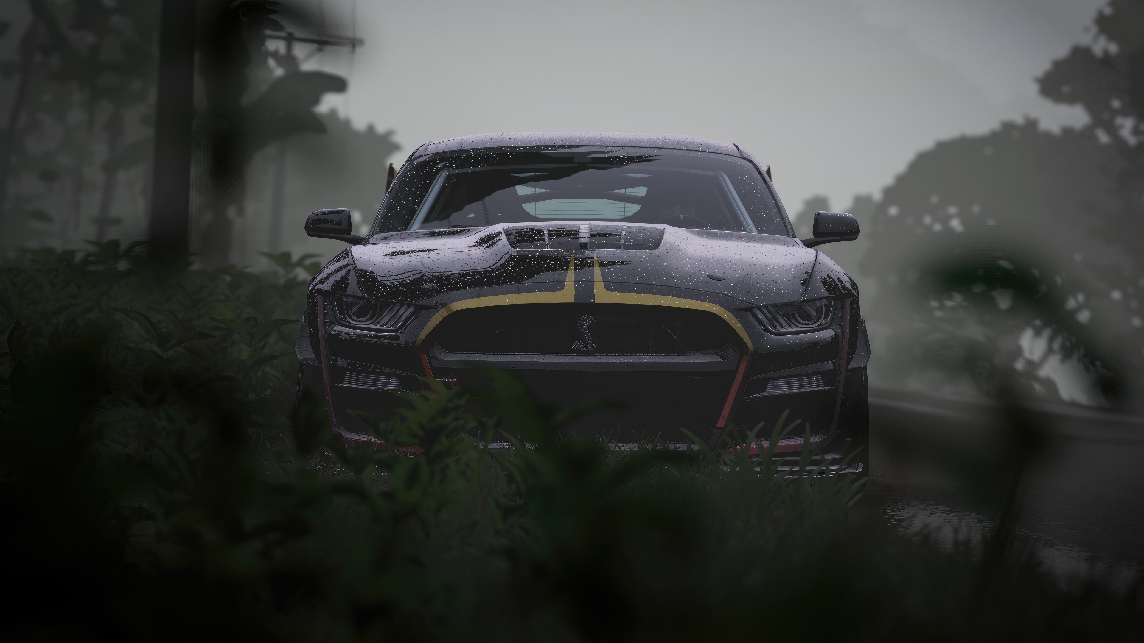 Ford Mustang Shelby GT500 in a rainy forest HD Wallpaper