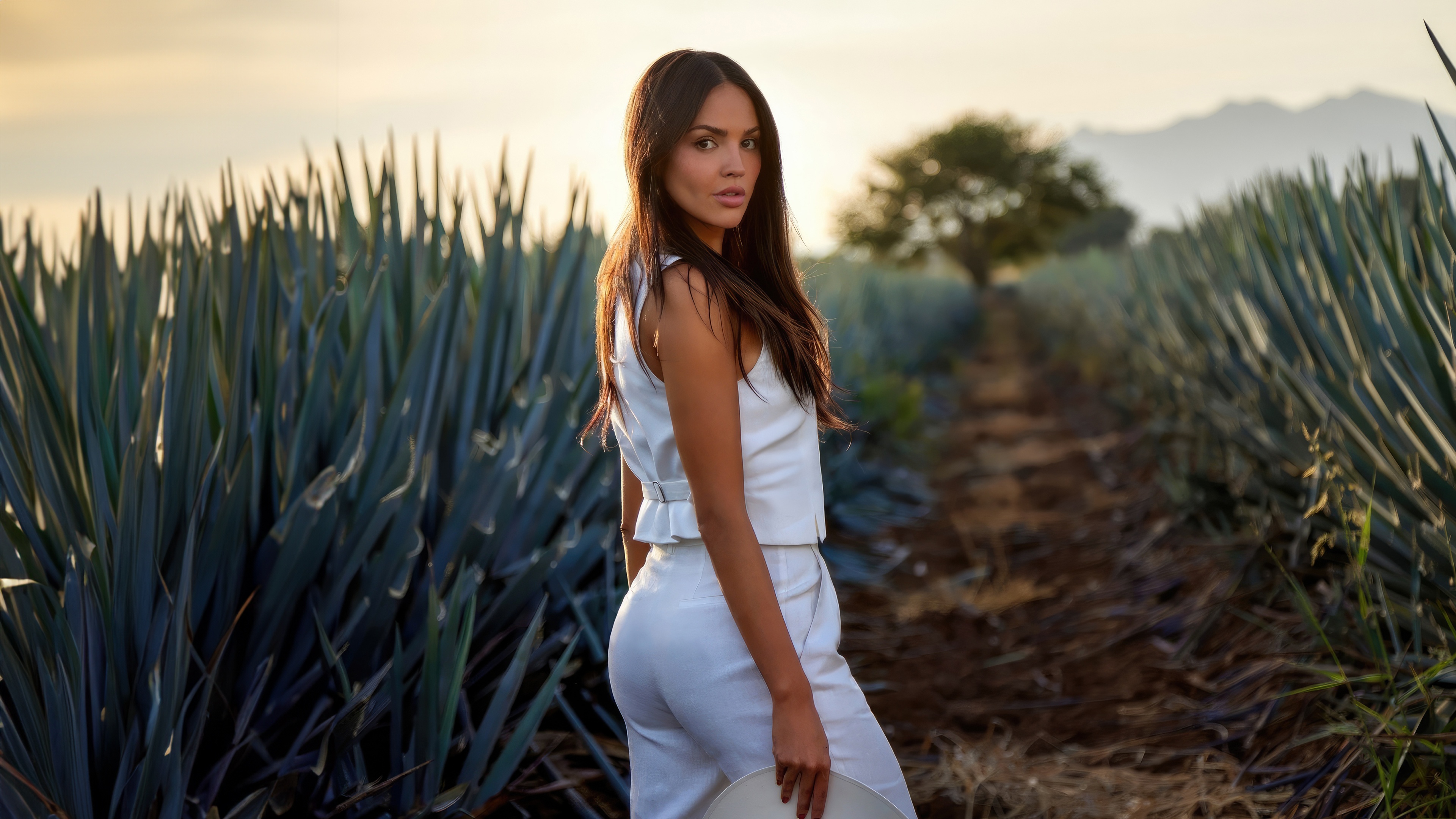 Eiza Gonzalez in a Tequila Field HD Wallpaper