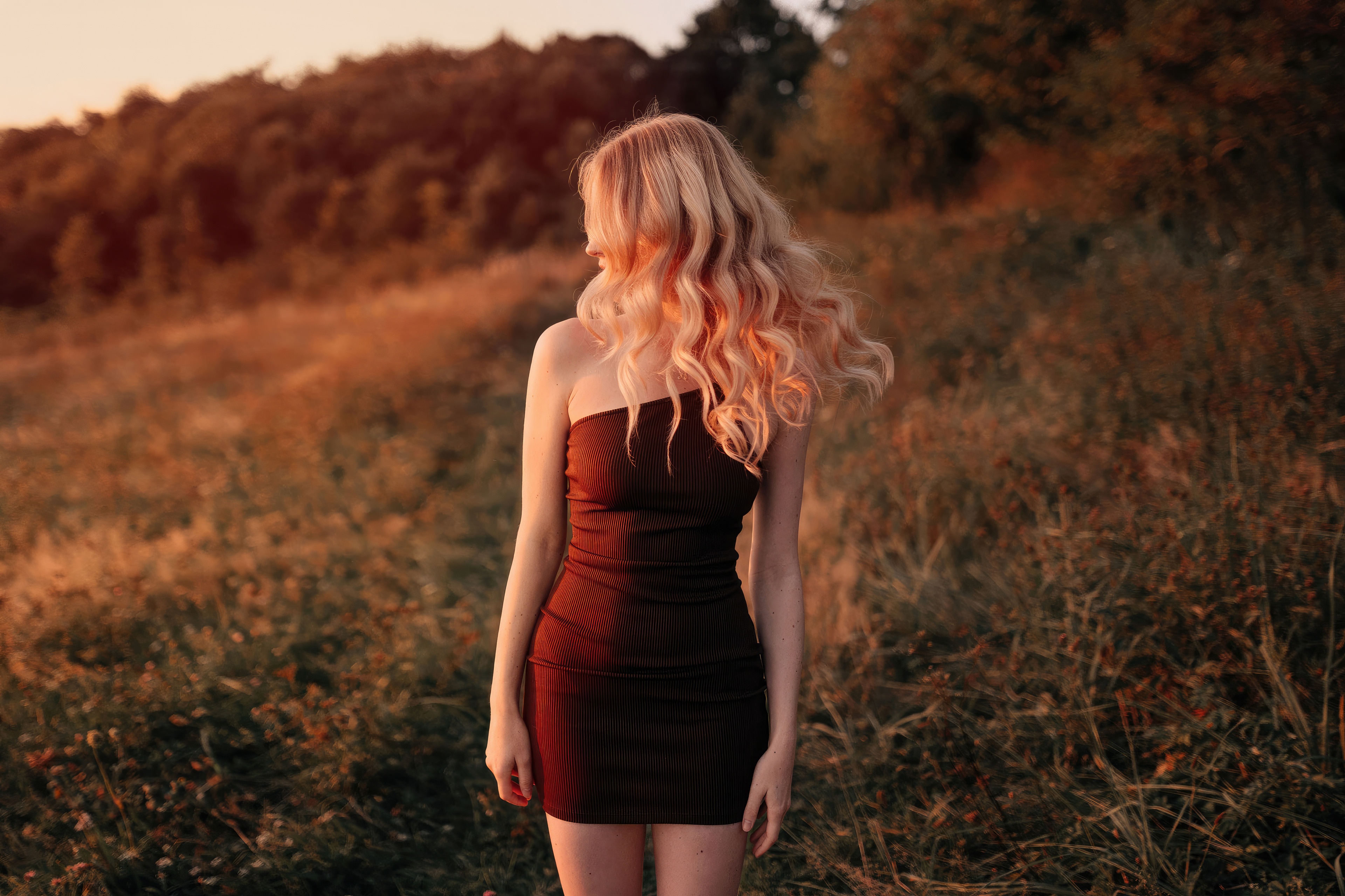 Woman in a dark dress in a field at sunset HD Wallpaper