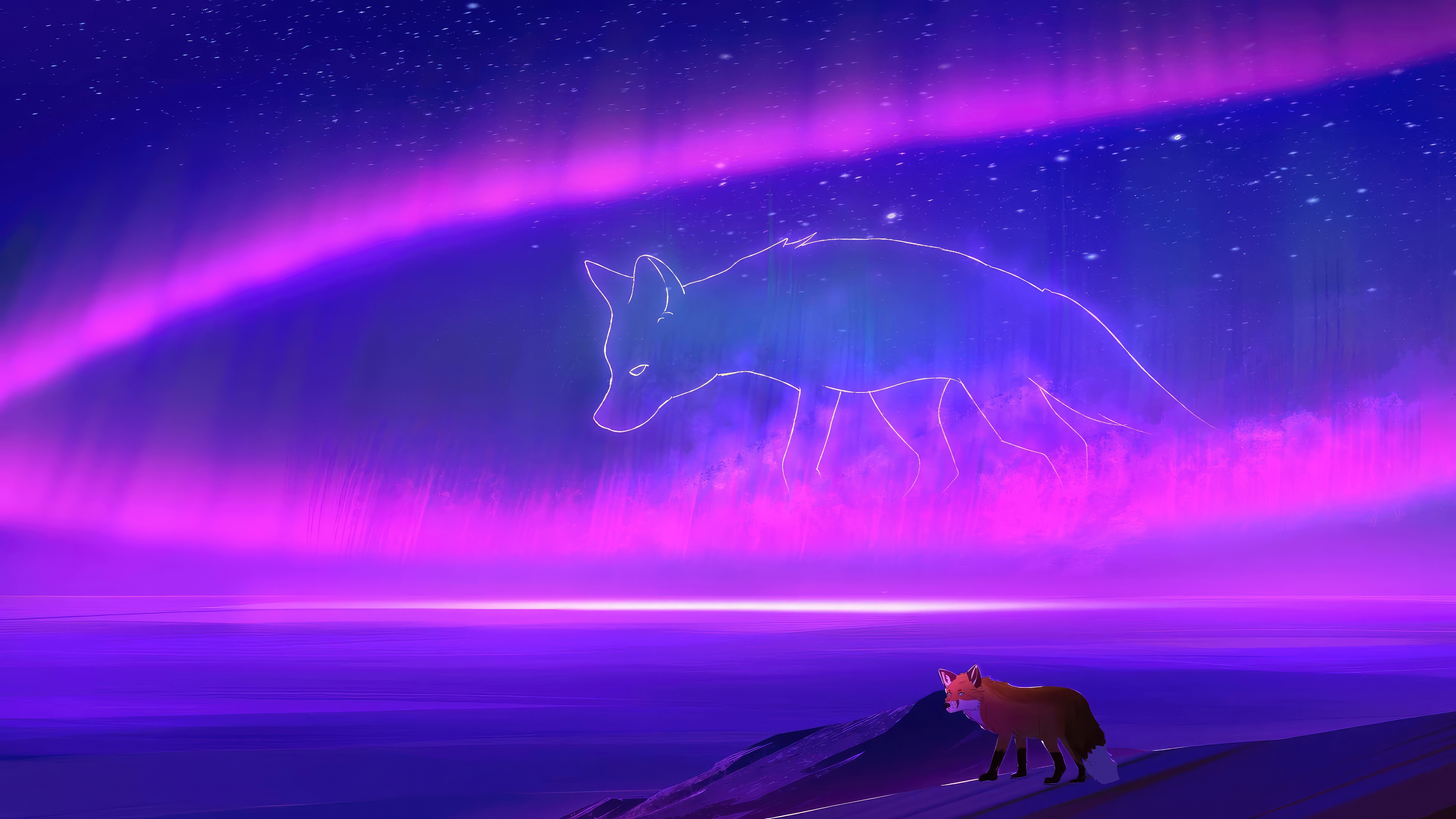 Fox encounters a spirit fox under the aurora HD Wallpaper