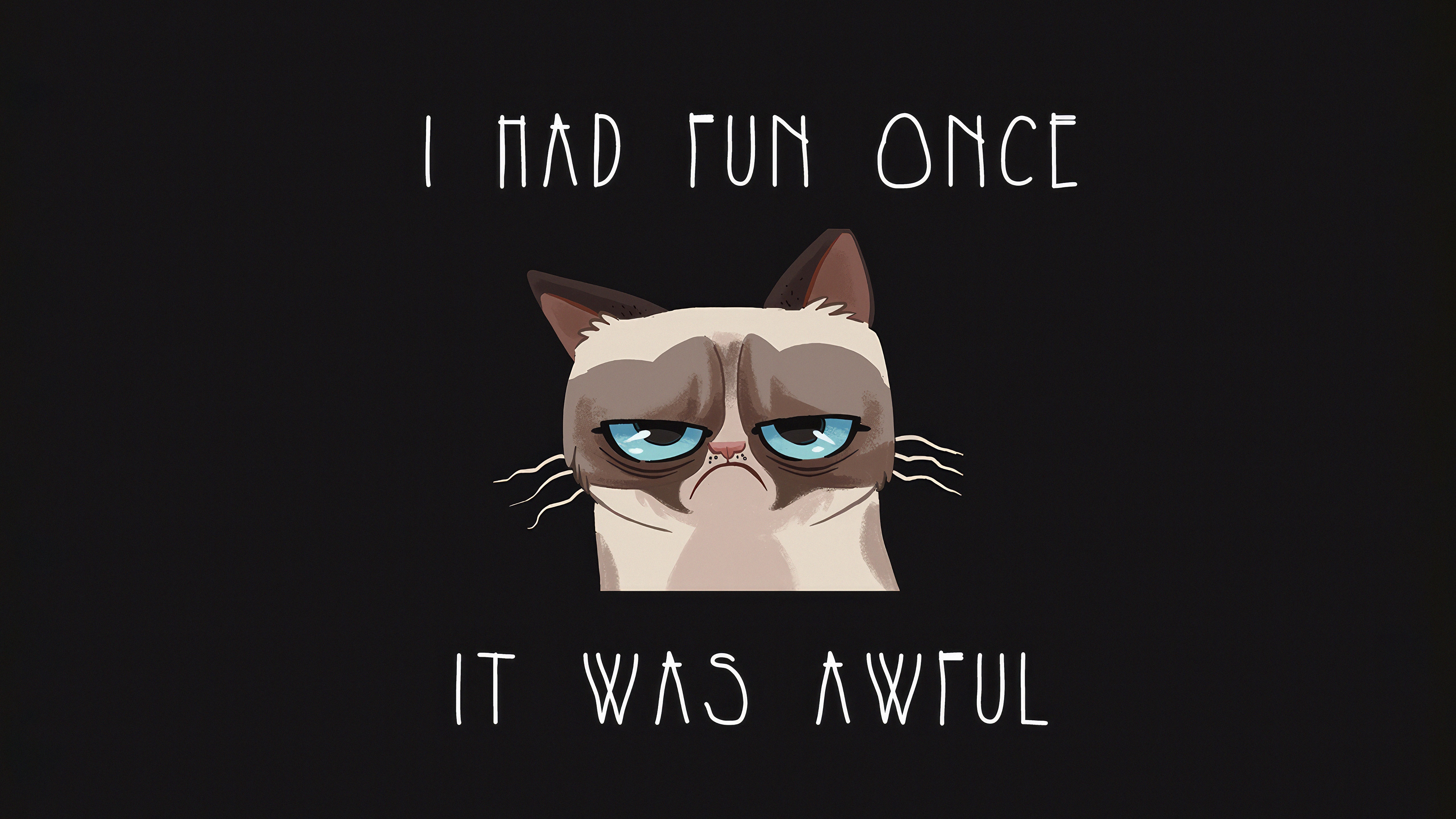 Grumpy Cat "I Had Fun Once It Was Awful" Quote HD Wallpaper