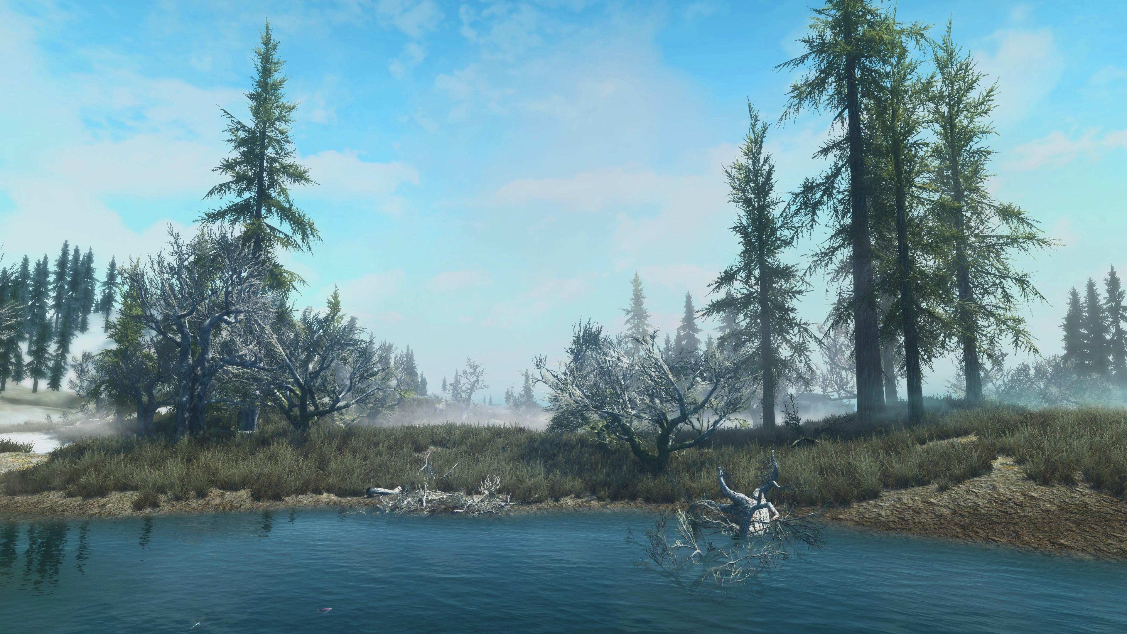 The Elder Scrolls V: Skyrim landscape with trees and water HD Wallpaper