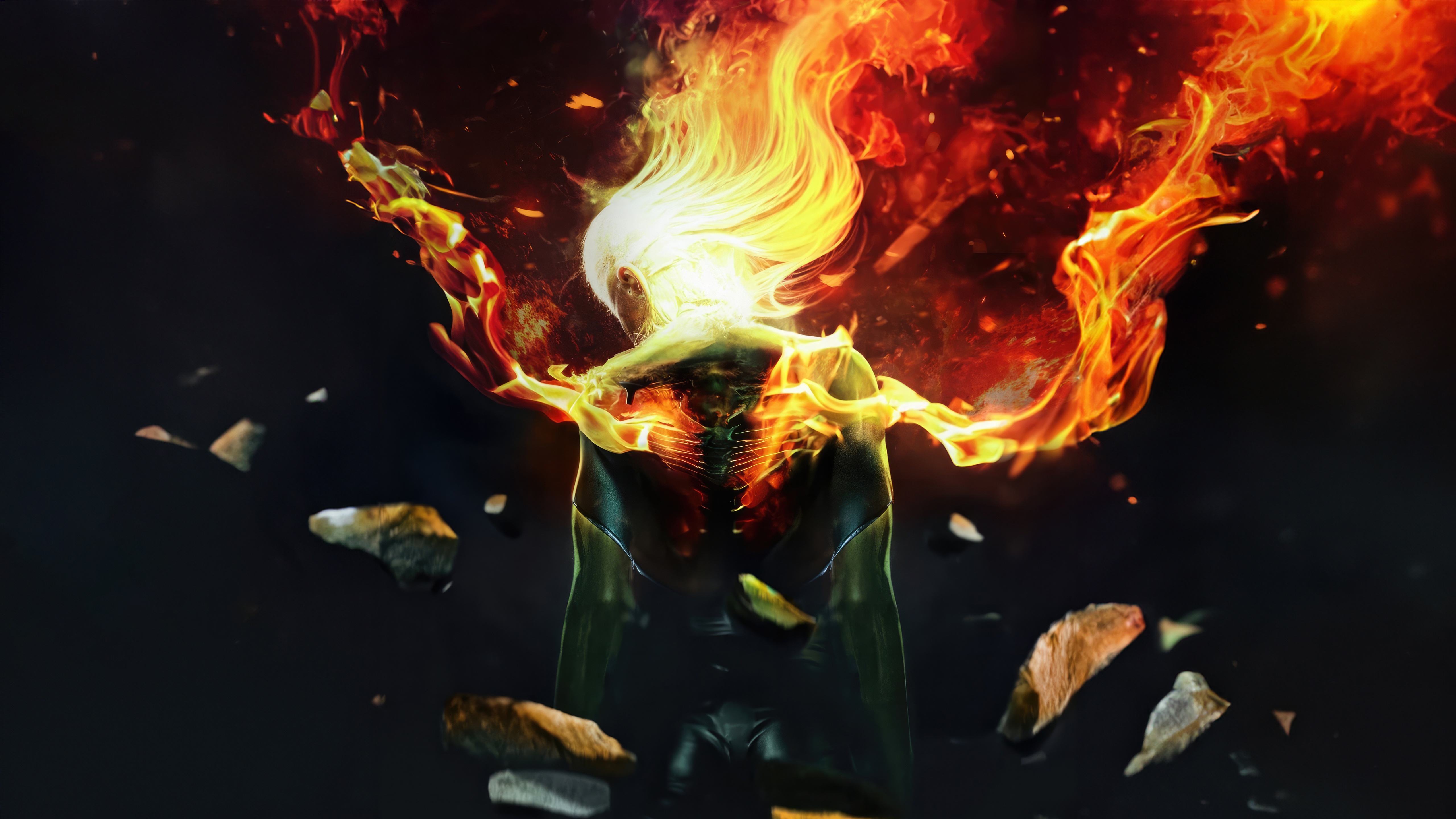 Phoenix Ignited Majesty HD Wallpaper