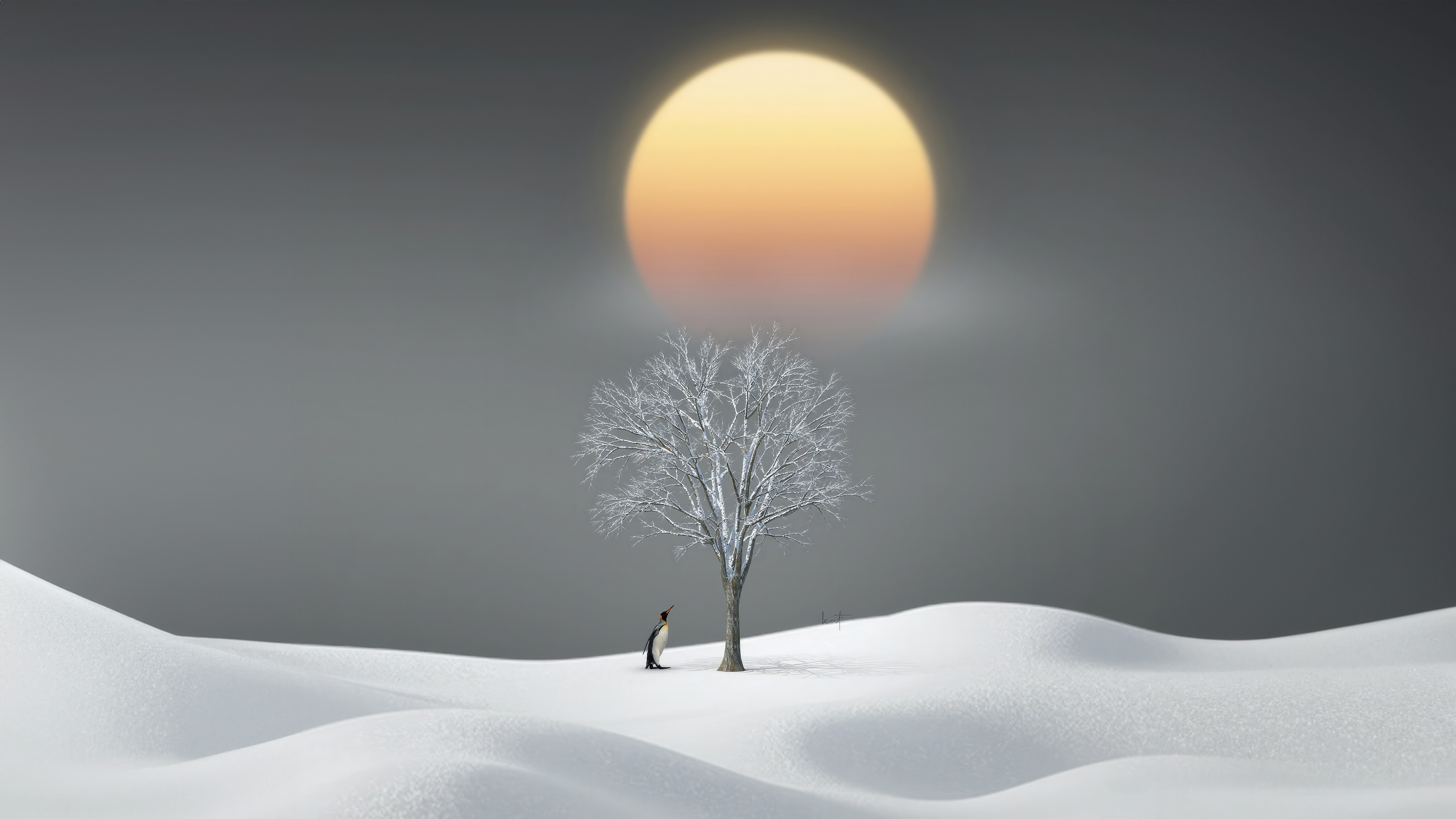 Penguin and bare tree under a large sun HD Wallpaper