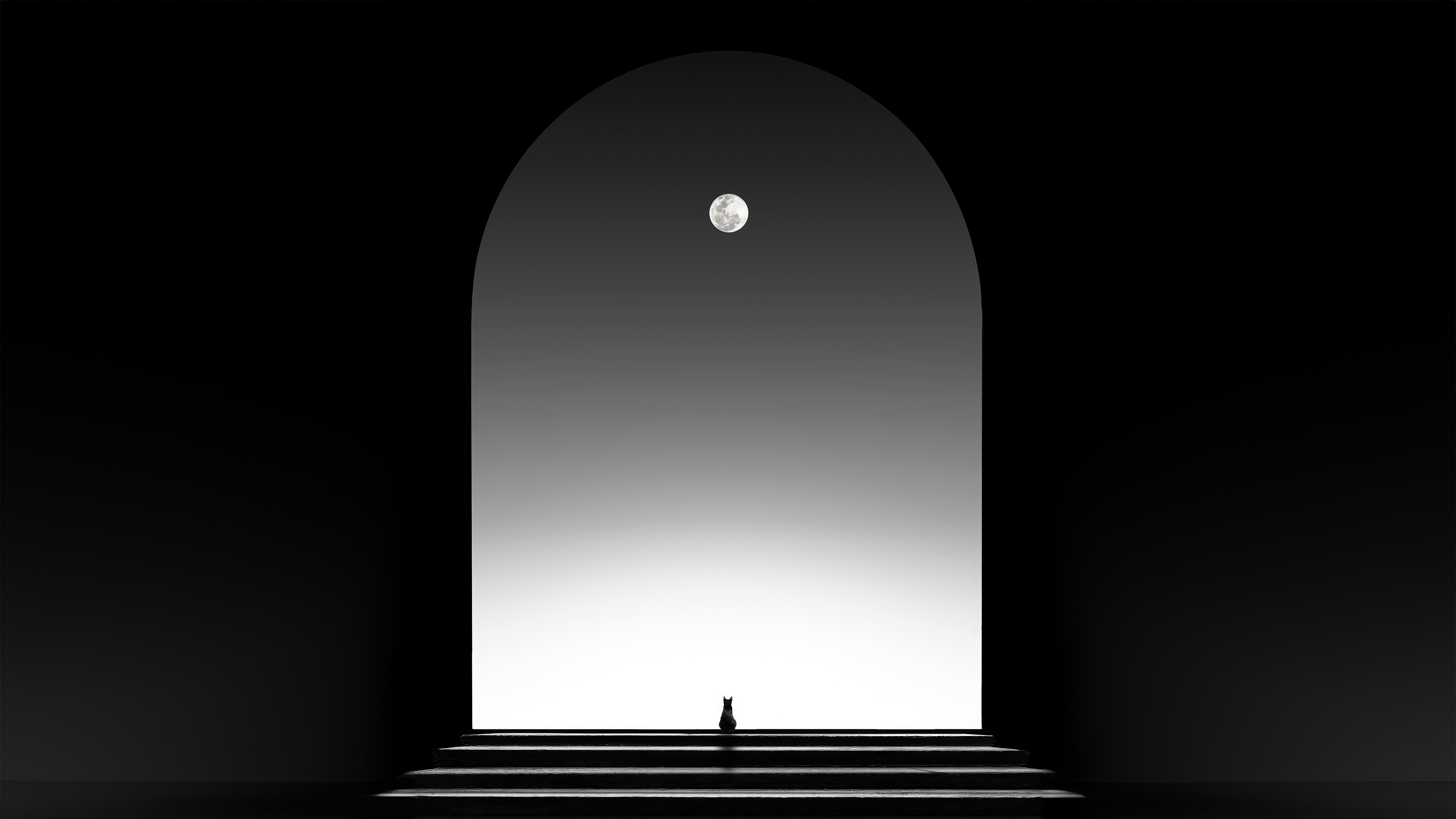Cat watching the moon through an archway HD Wallpaper