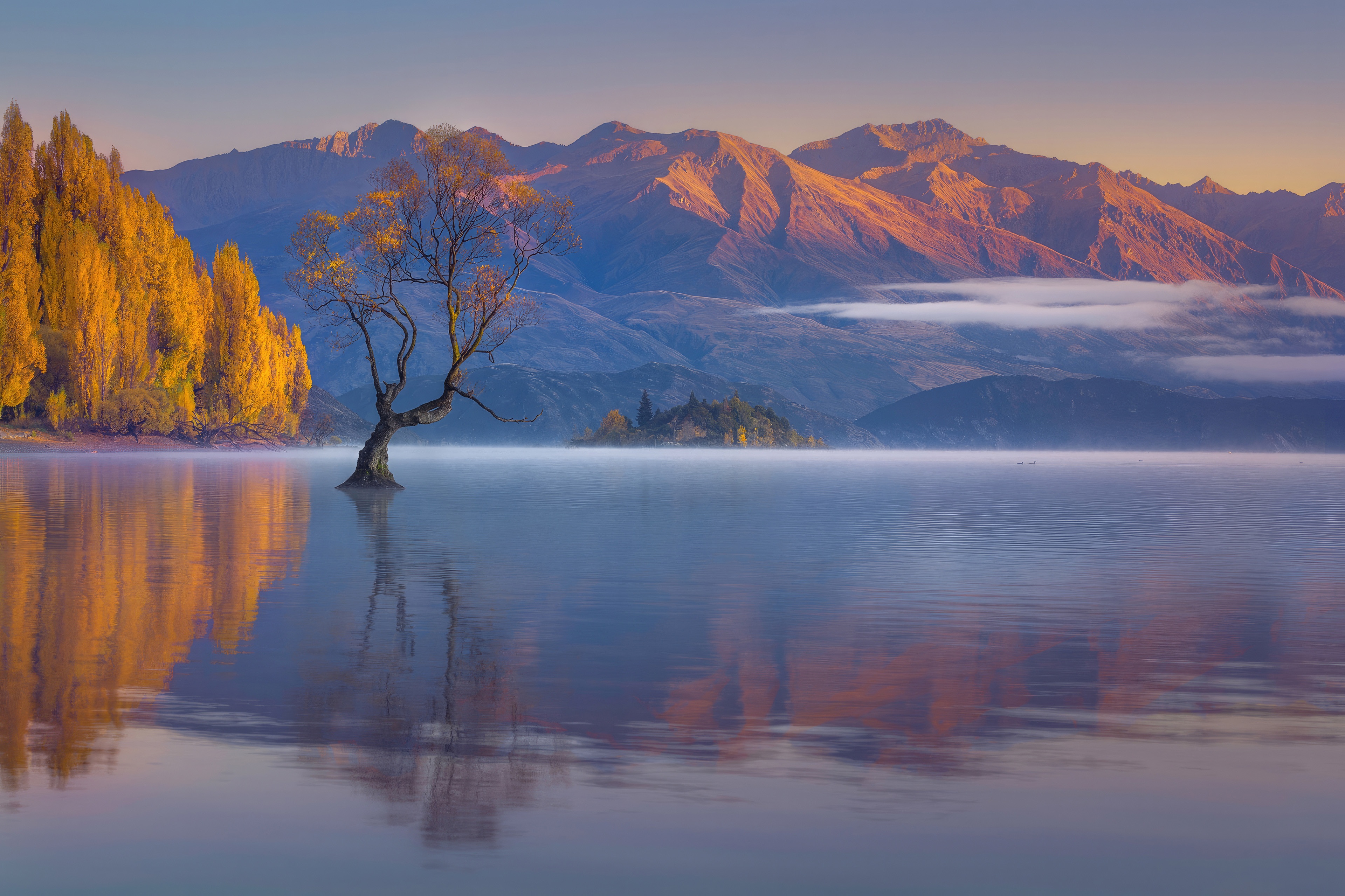 Lone tree in Lake Wanaka with mountains HD Wallpaper