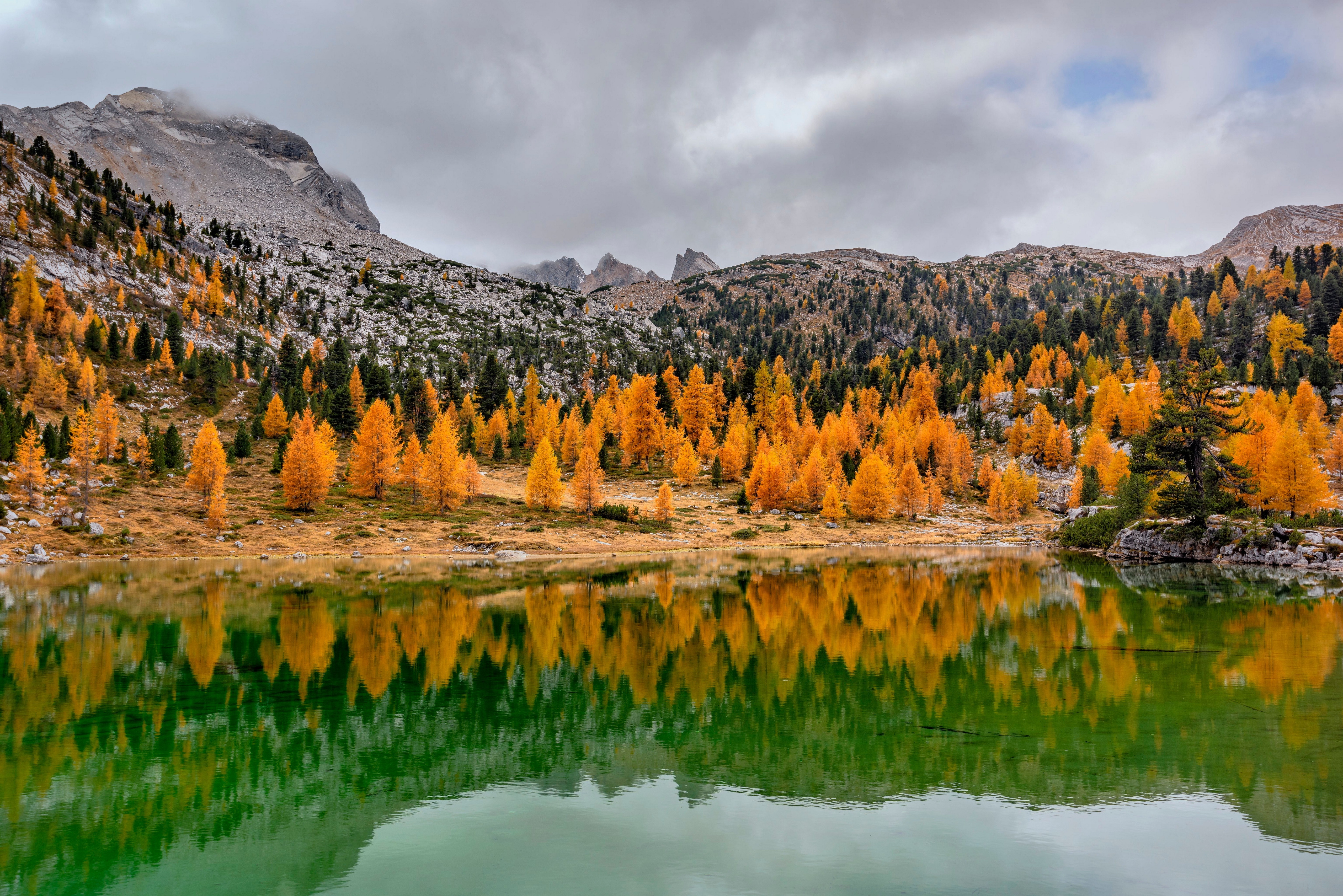 Autumn Larches Reflected in an Italian Mountain Lake HD Wallpaper