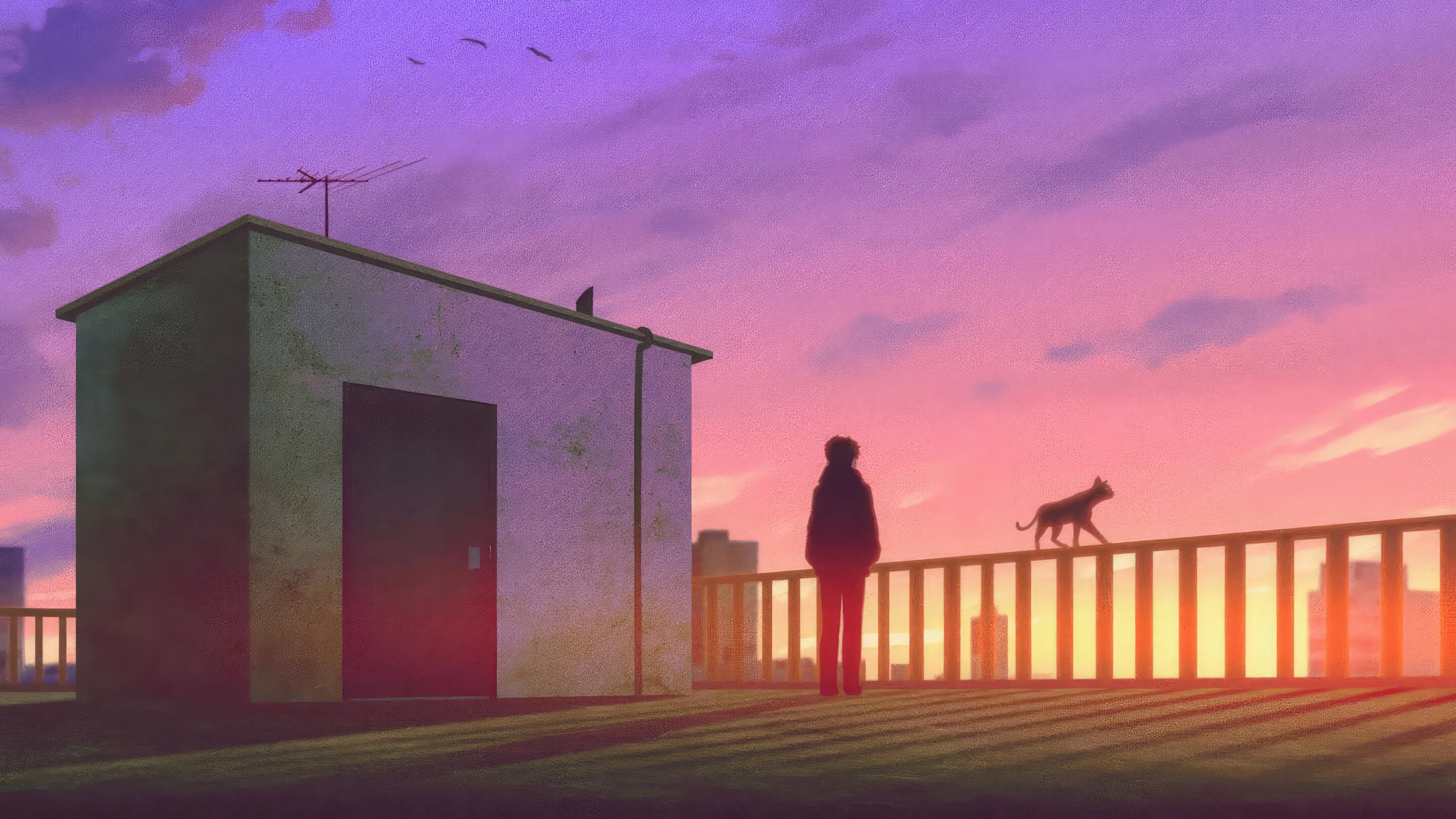 Rooftop at Sunset with Person and Cat HD Wallpaper
