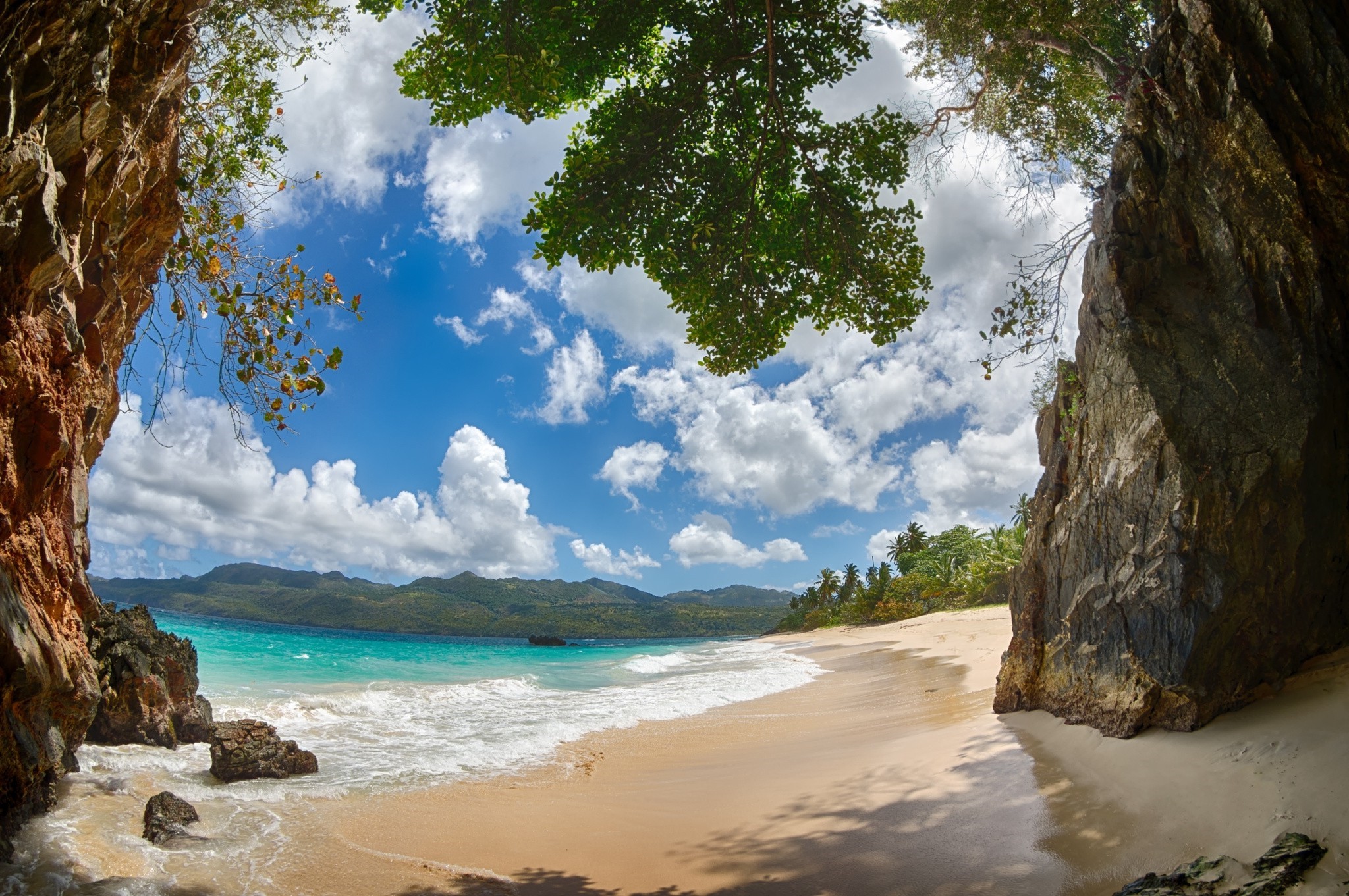 Tropical Beach with Palm Trees in Dominican Republic HD Wallpaper