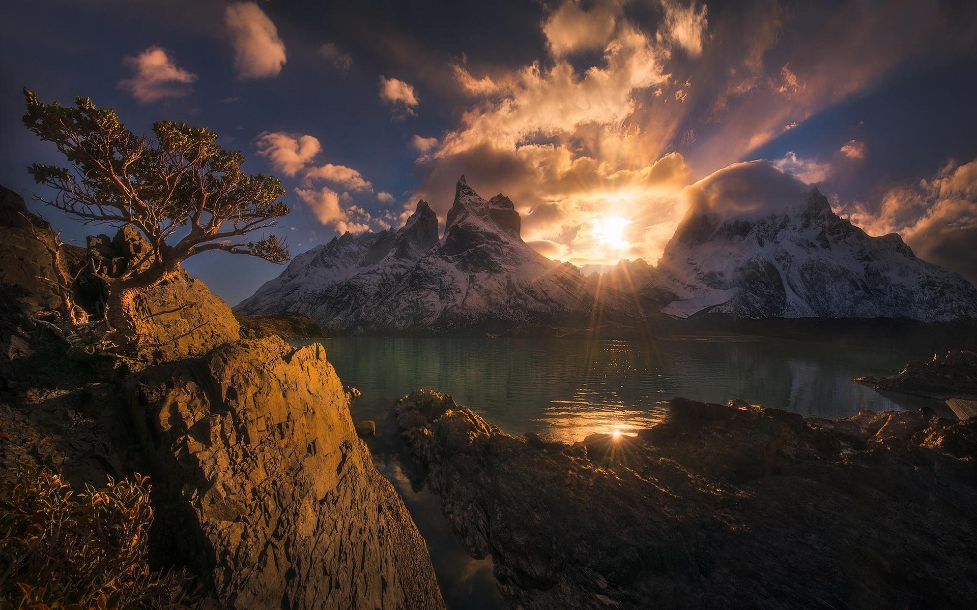 Sunset over Torres del Paine with lake and tree HD Wallpaper