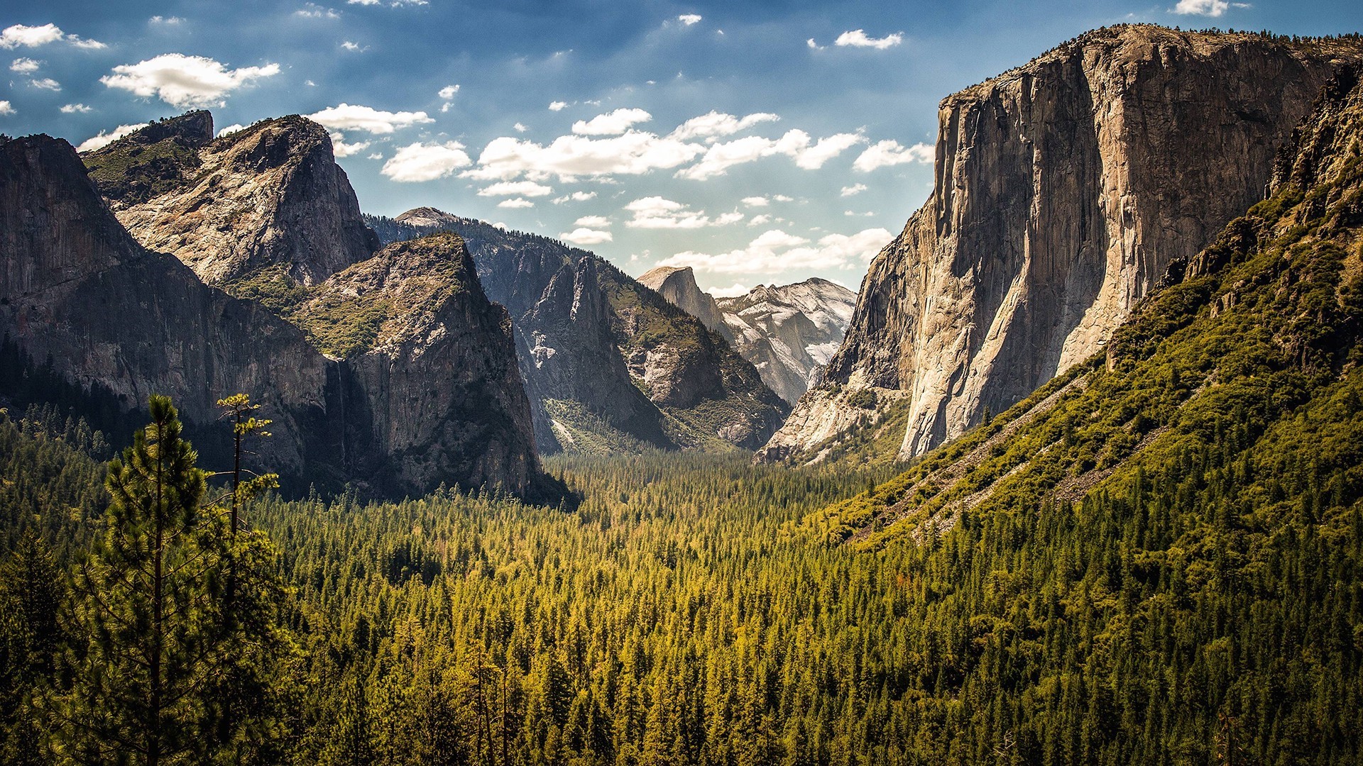 Yosemite National Park Valley with Mountains and Forest HD Wallpaper