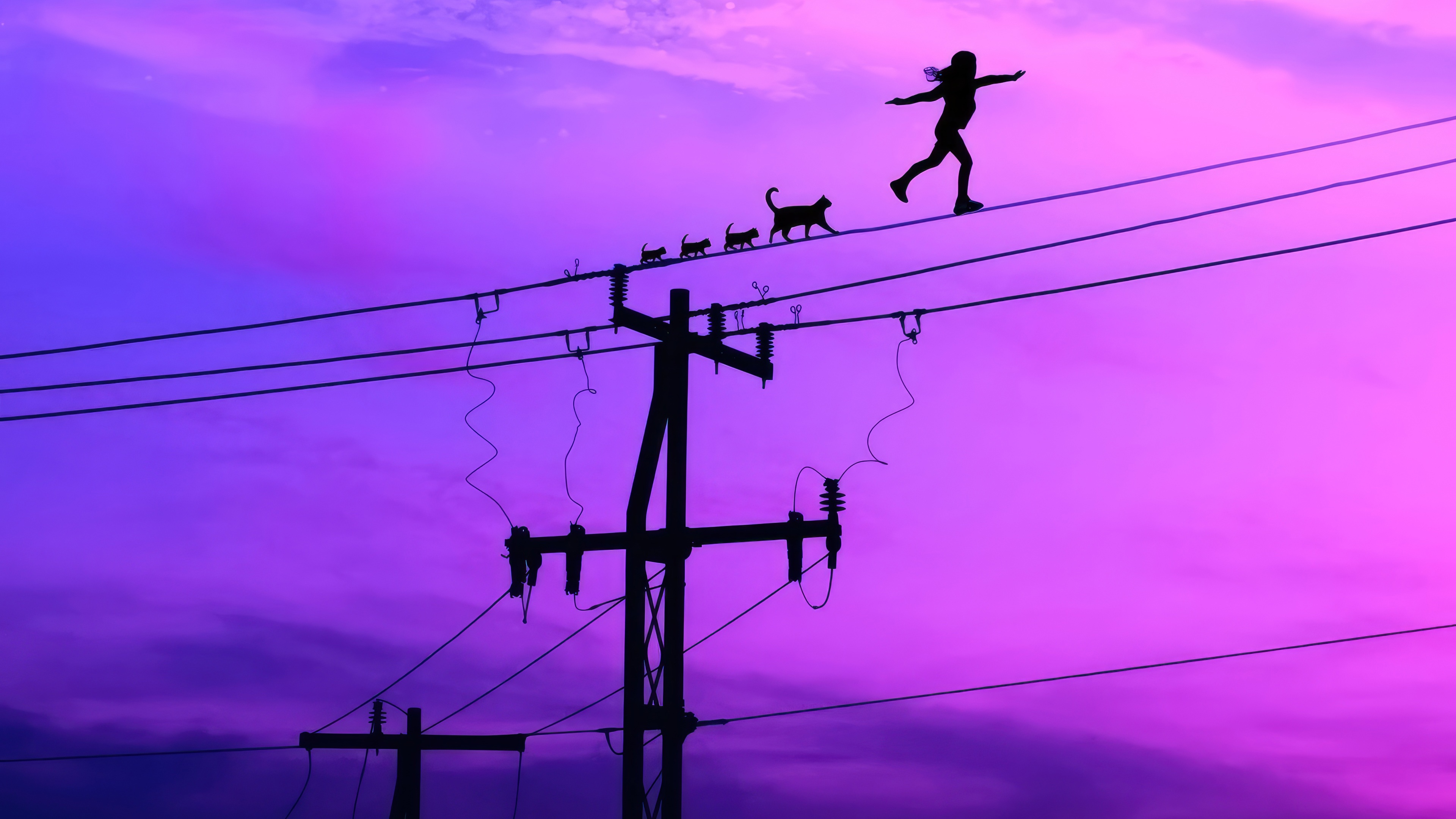 Girl and cats walking on power lines at sunset HD Wallpaper