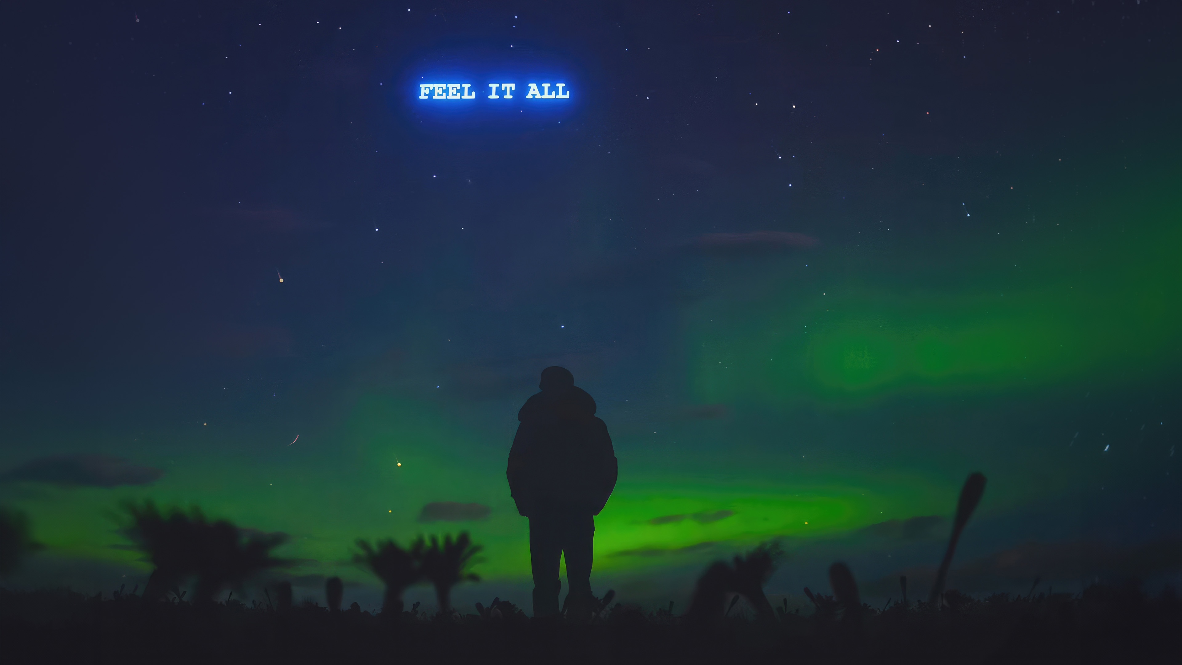 Man Watching Aurora Borealis HD Wallpaper