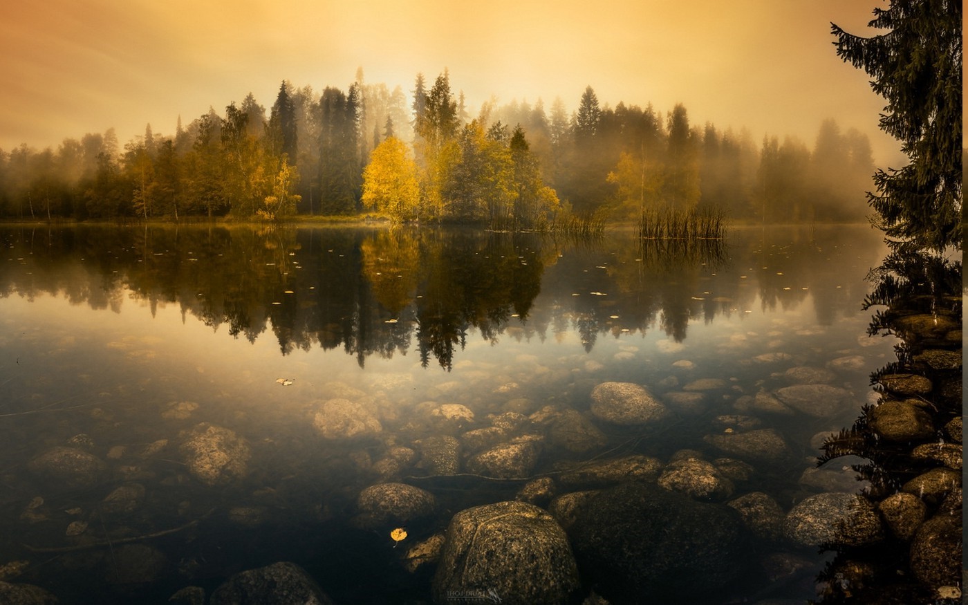 Misty lake with autumn forest reflection and stones HD Wallpaper