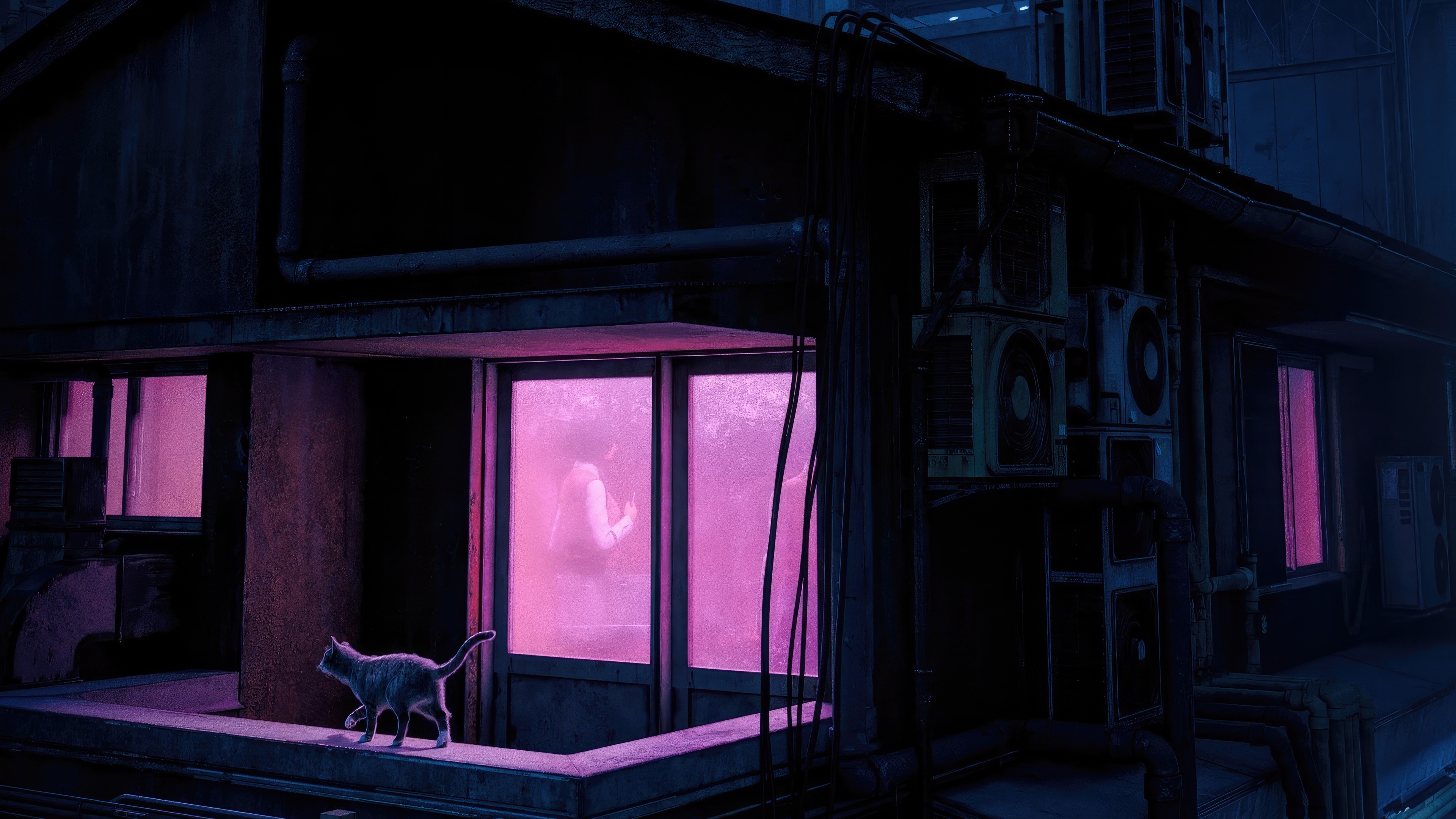 A cat walks on a ledge in front of a window with a person inside. HD Wallpaper