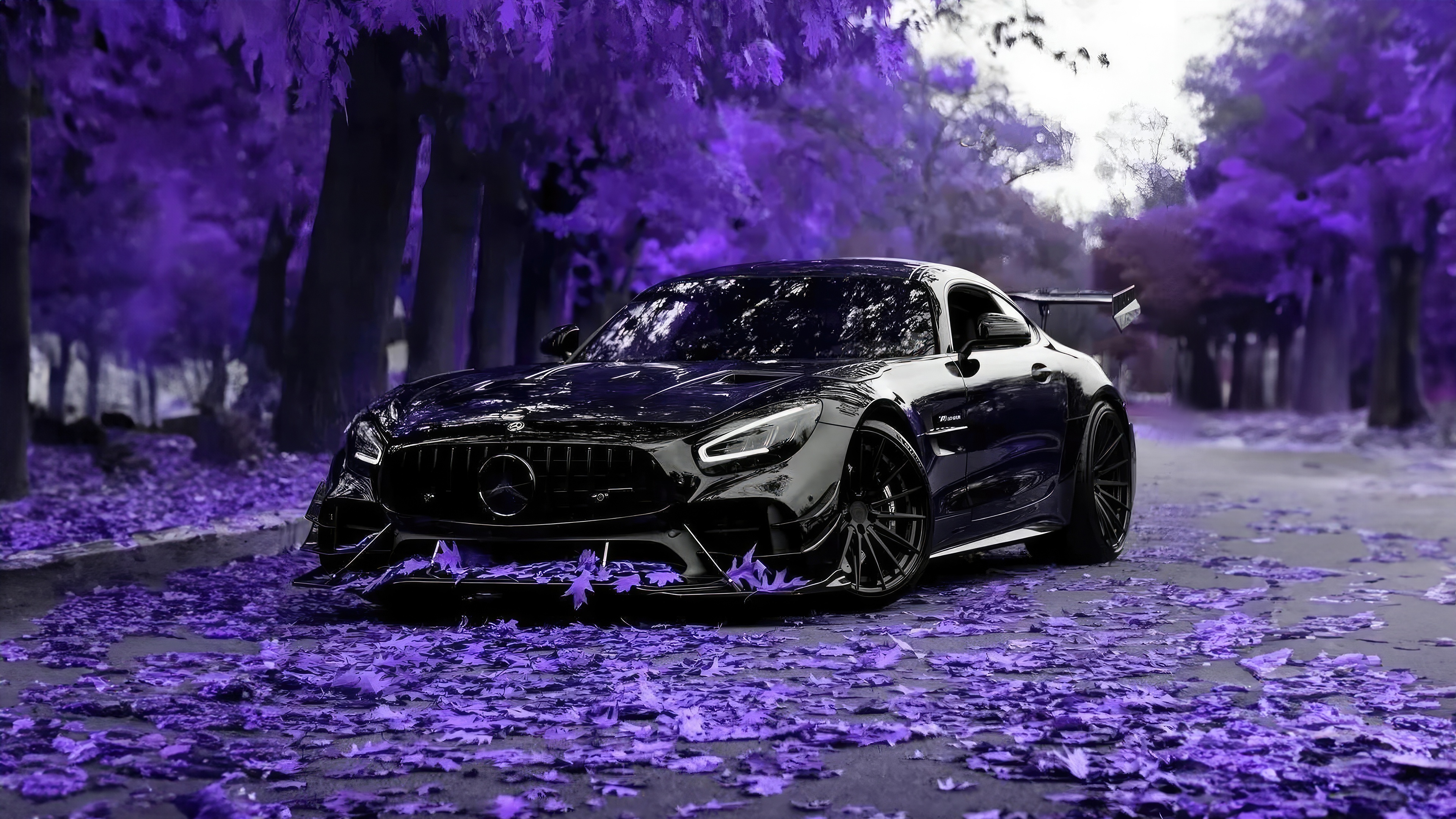 Black Mercedes Benz Amg Gtr on purple leaves HD Wallpaper