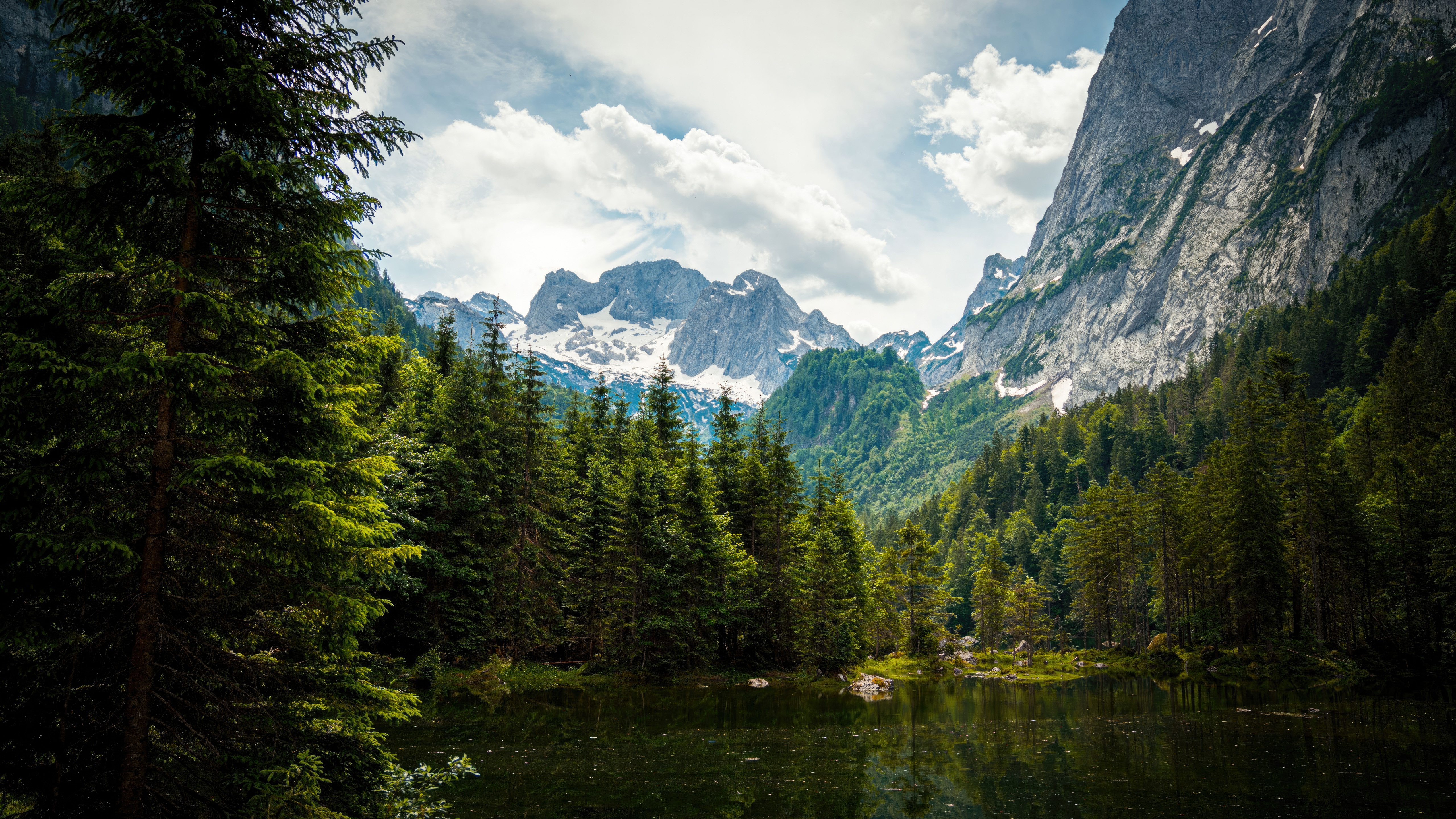 Mountain lake with pine forest and snow-capped peaks HD Wallpaper