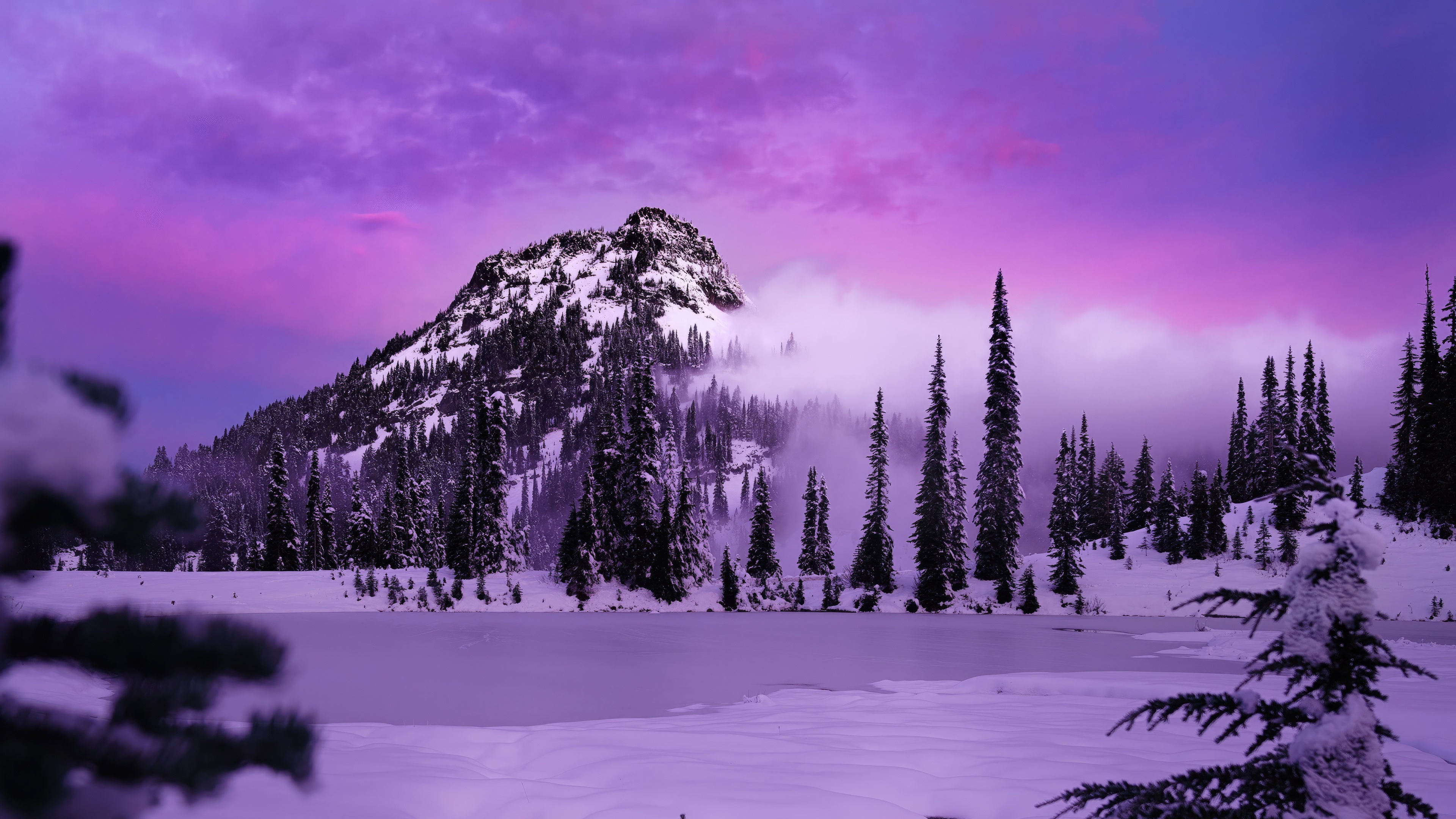 Snow-covered mountains and pine trees under a purple sky HD Wallpaper
