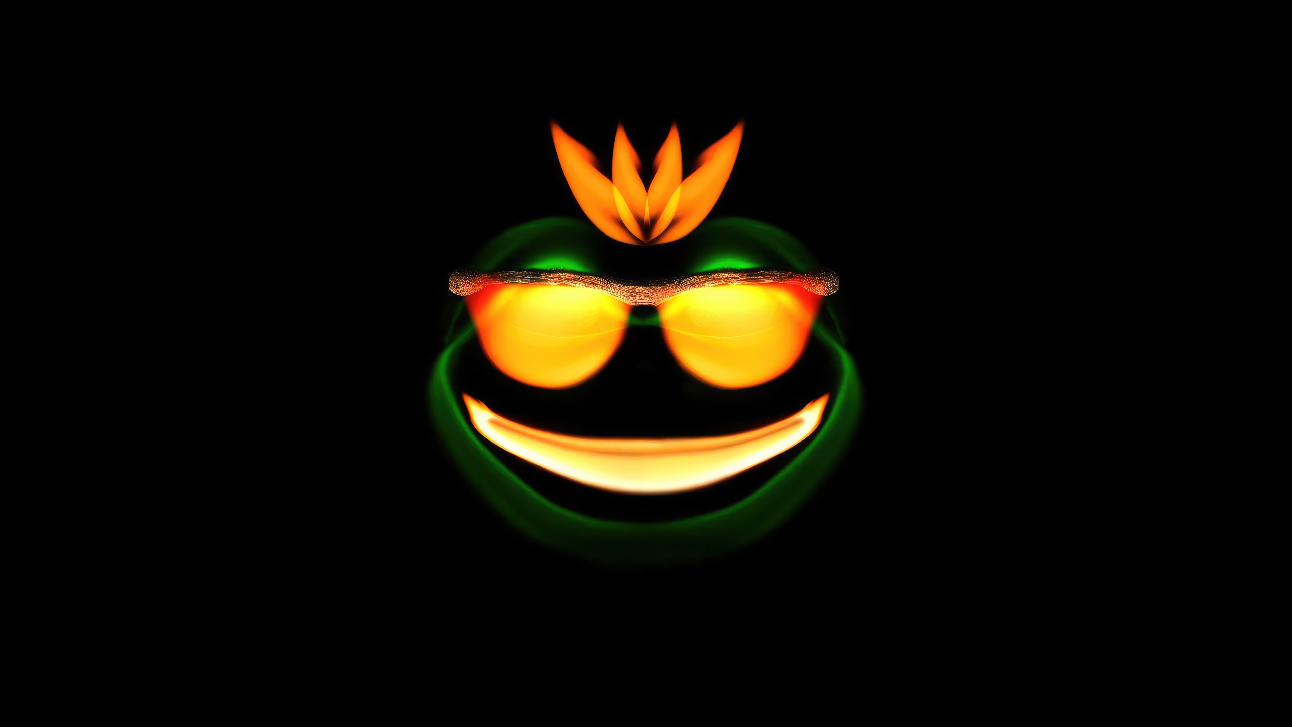 Frog with sunglasses and a flower crown HD Wallpaper