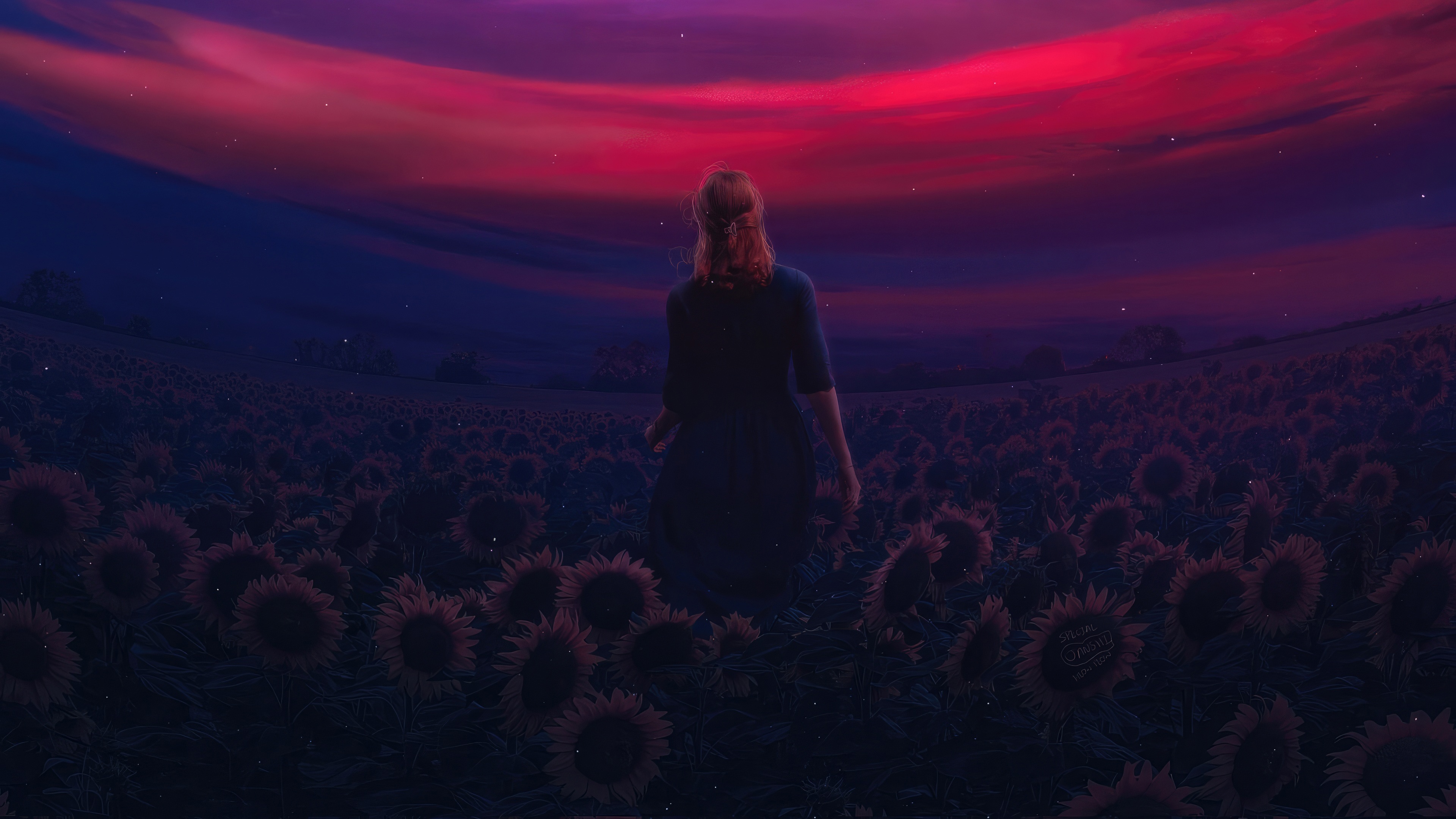 Woman walking in a sunflower field at dusk HD Wallpaper