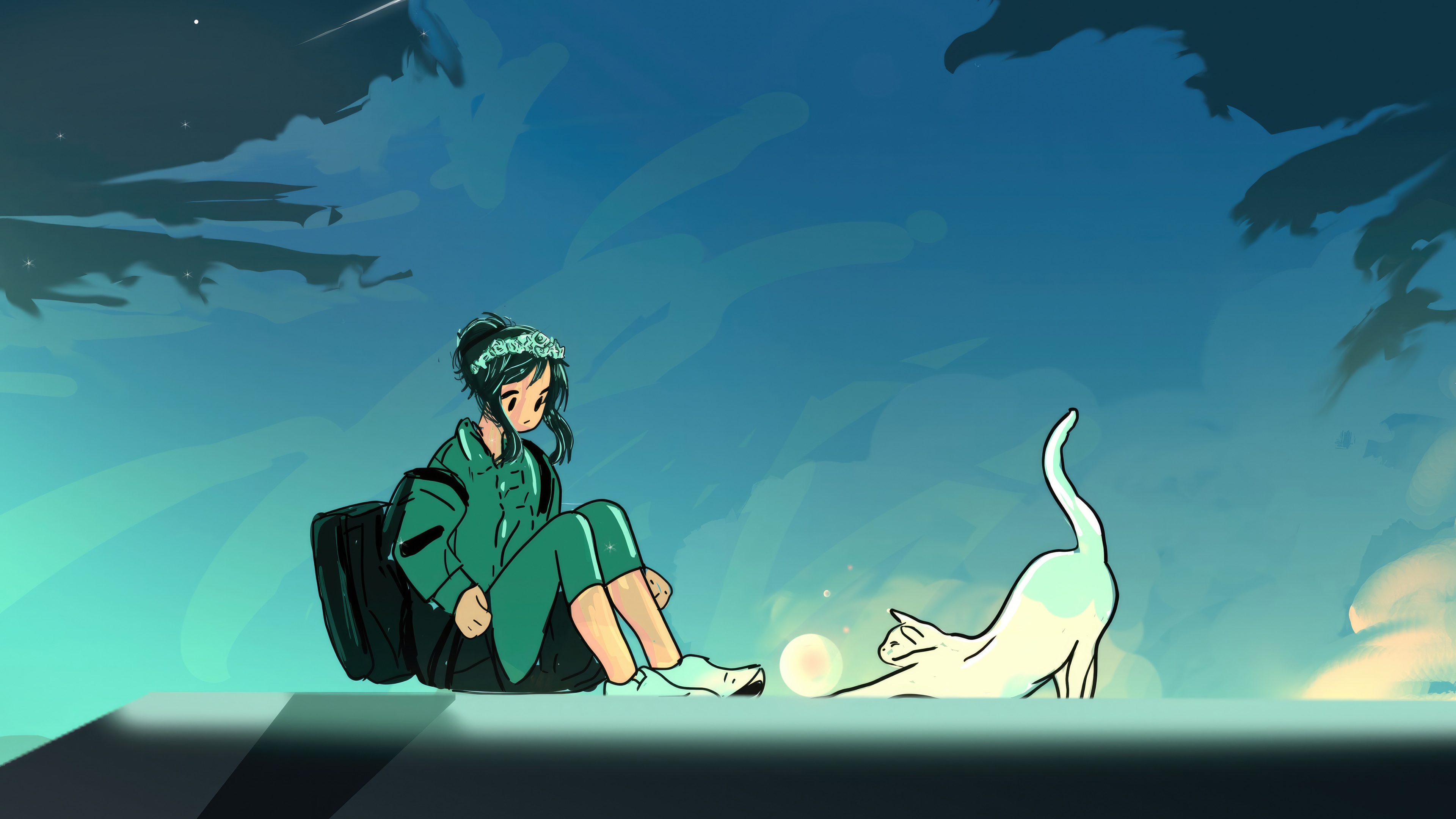 Girl and cat on roof with fallen star HD Wallpaper