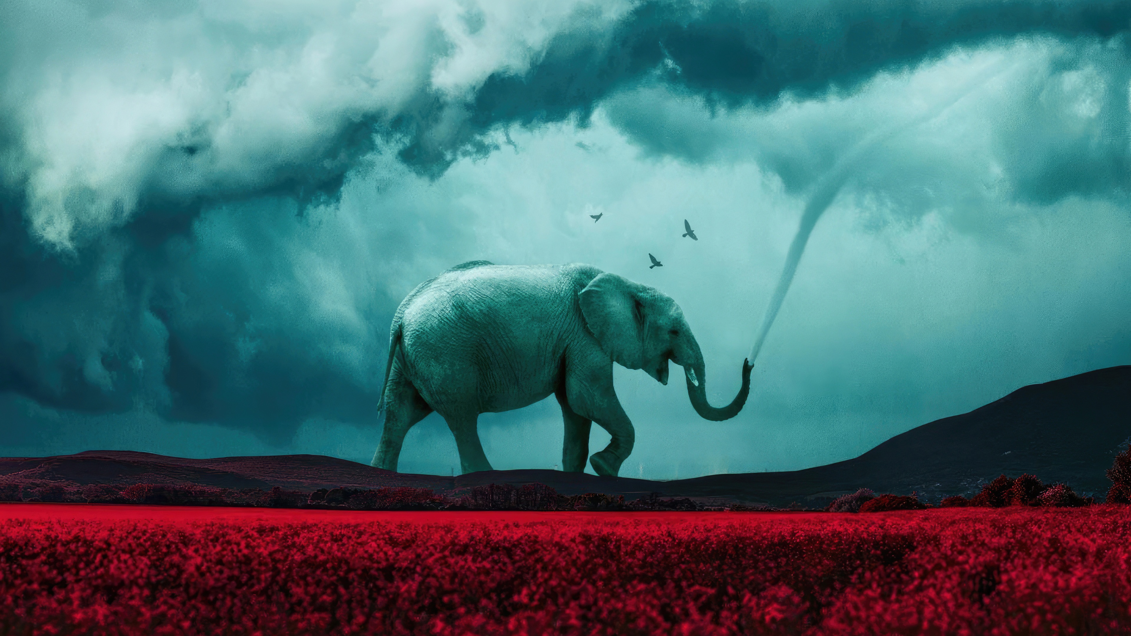 Elephant in a stormy landscape with red field HD Wallpaper