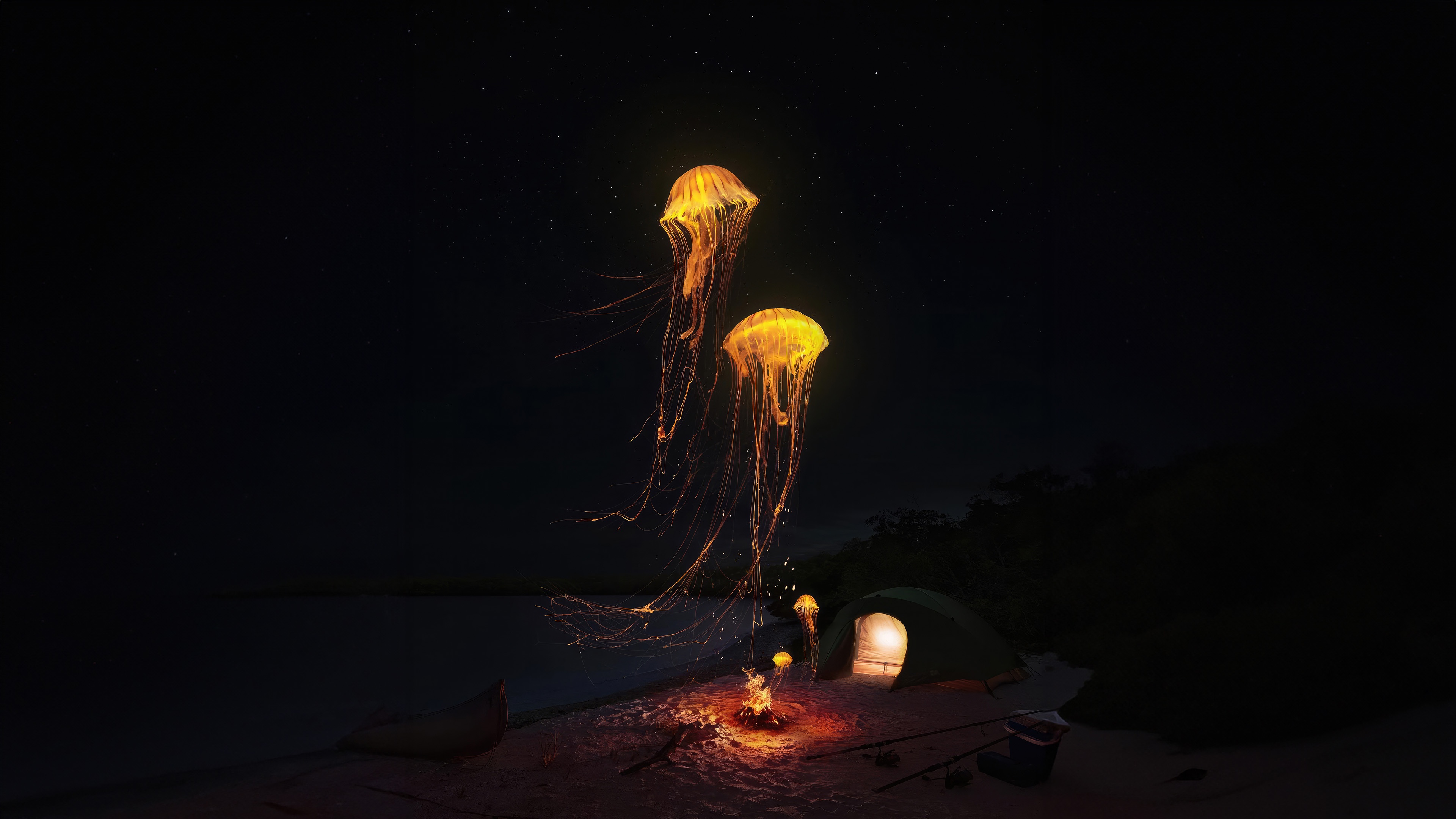 Glowing Jellyfish Over a Campsite by the Water HD Wallpaper