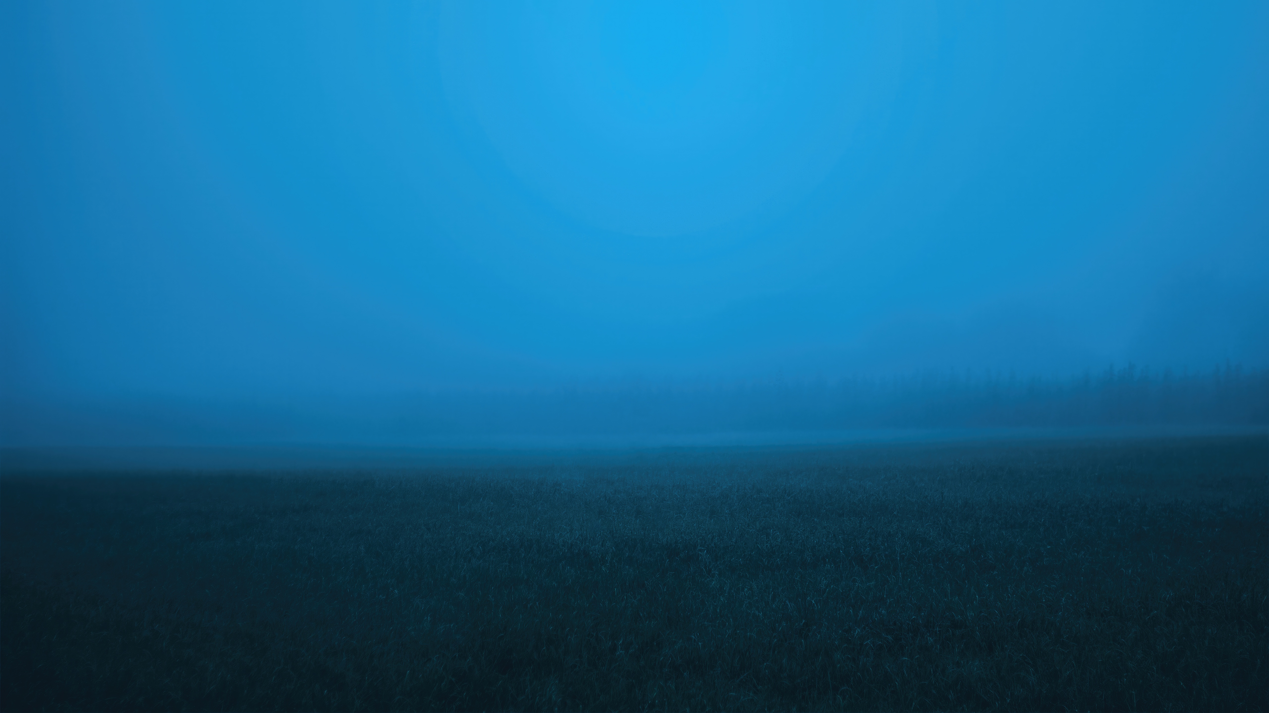 Misty field with trees in the distance HD Wallpaper