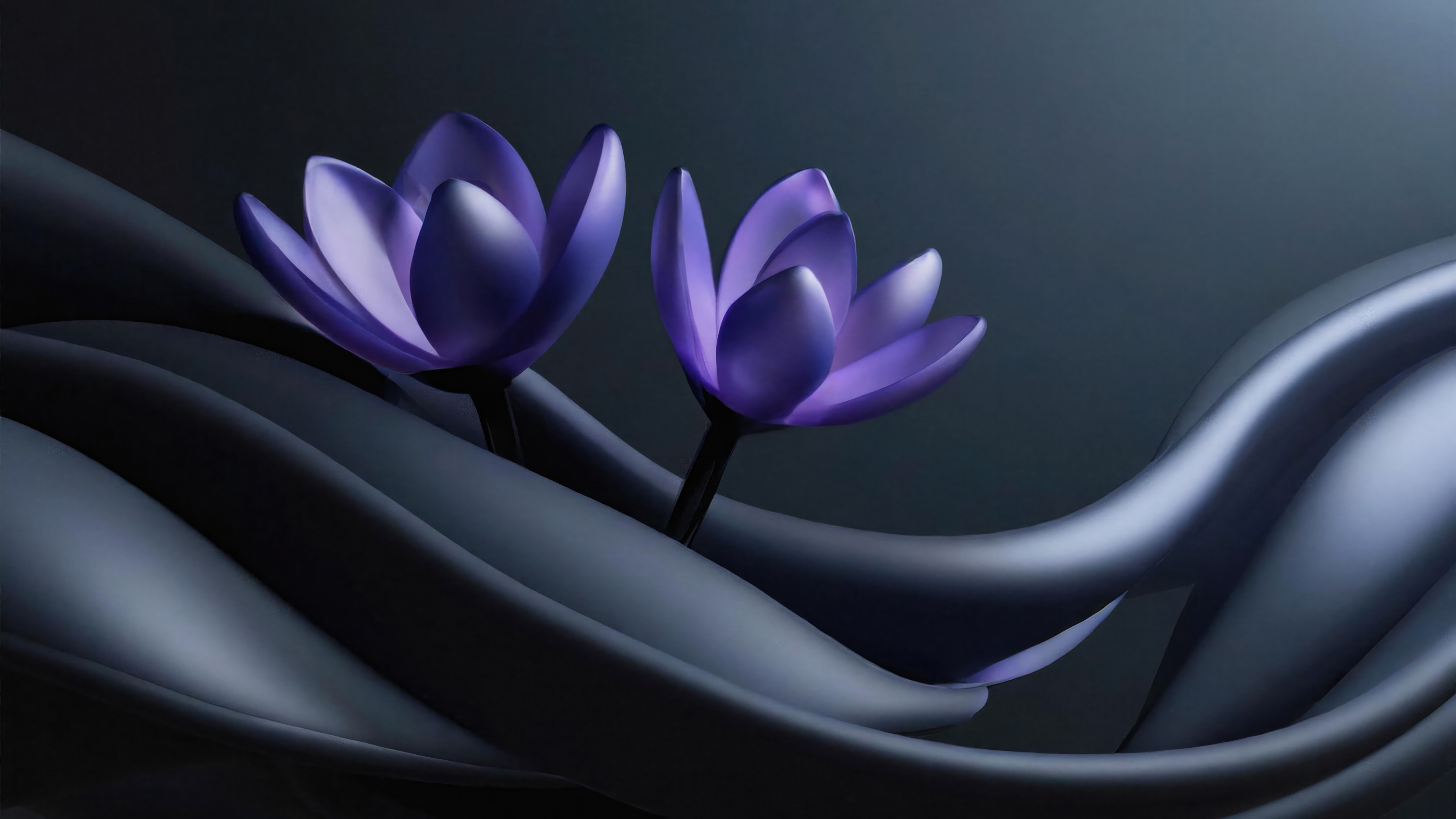 Two purple lotus flowers on dark wavy fabric HD Wallpaper