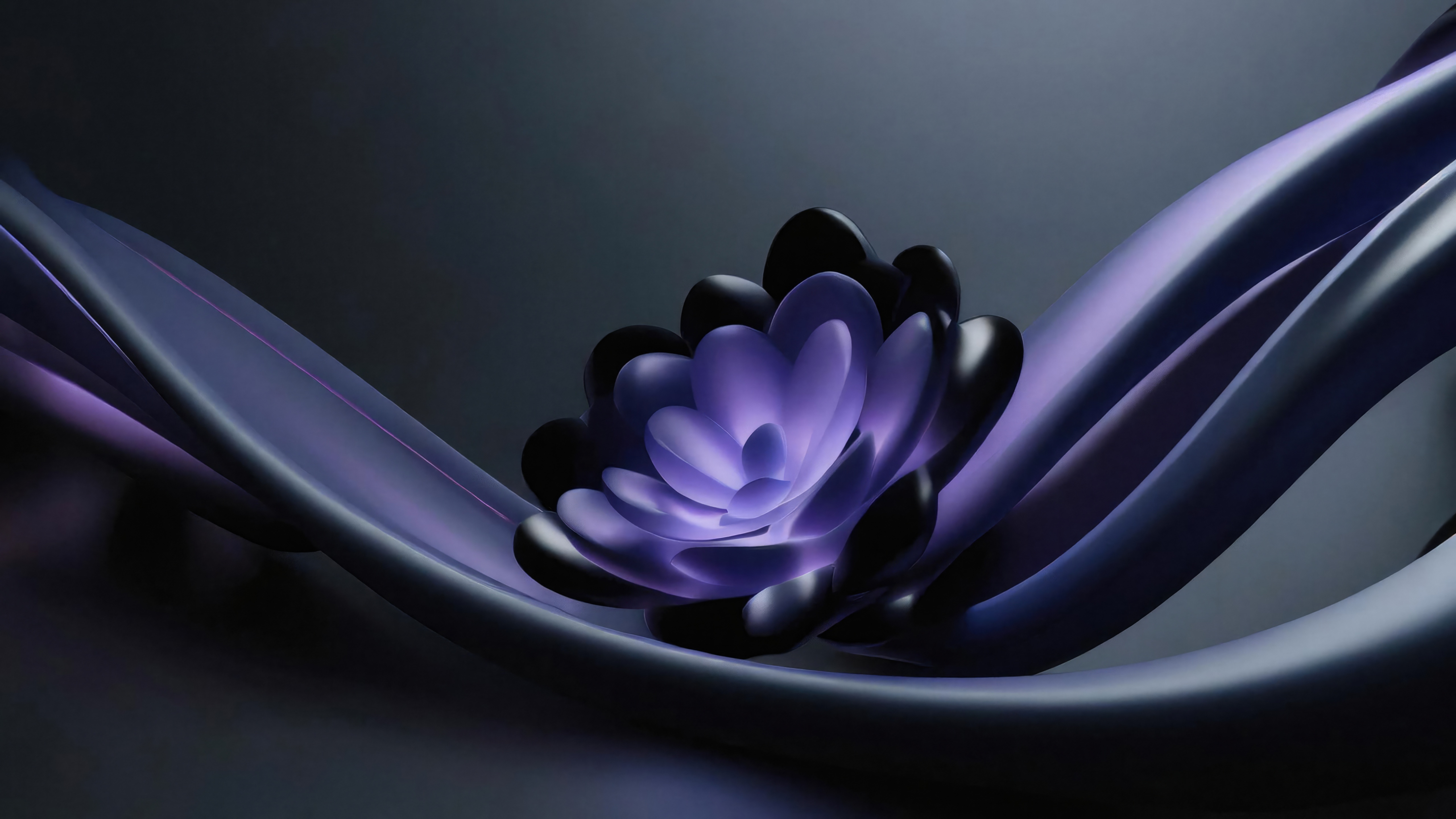 Abstract purple and black flower with flowing fabric HD Wallpaper