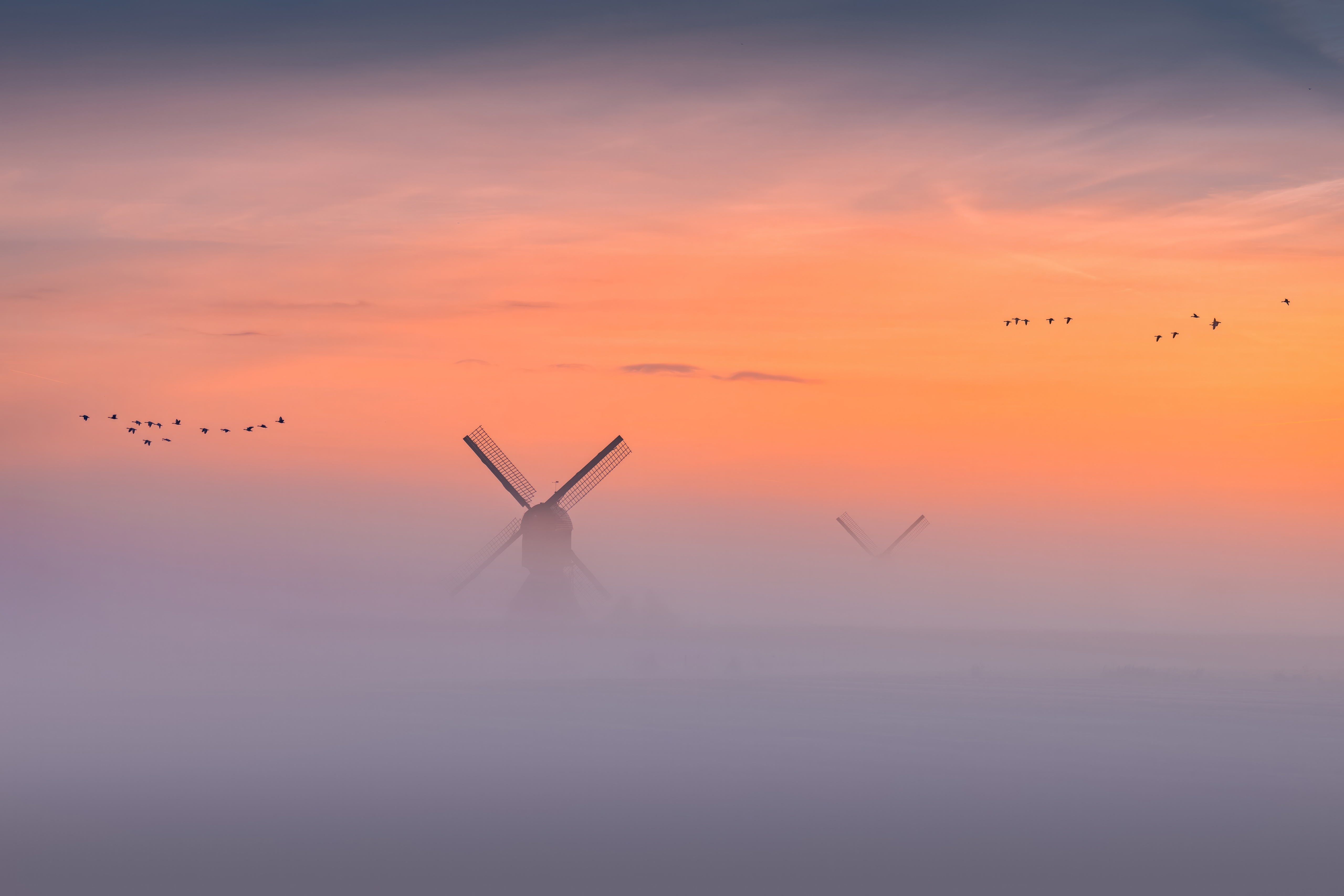 Windmills in Fog at Sunrise with Birds HD Wallpaper