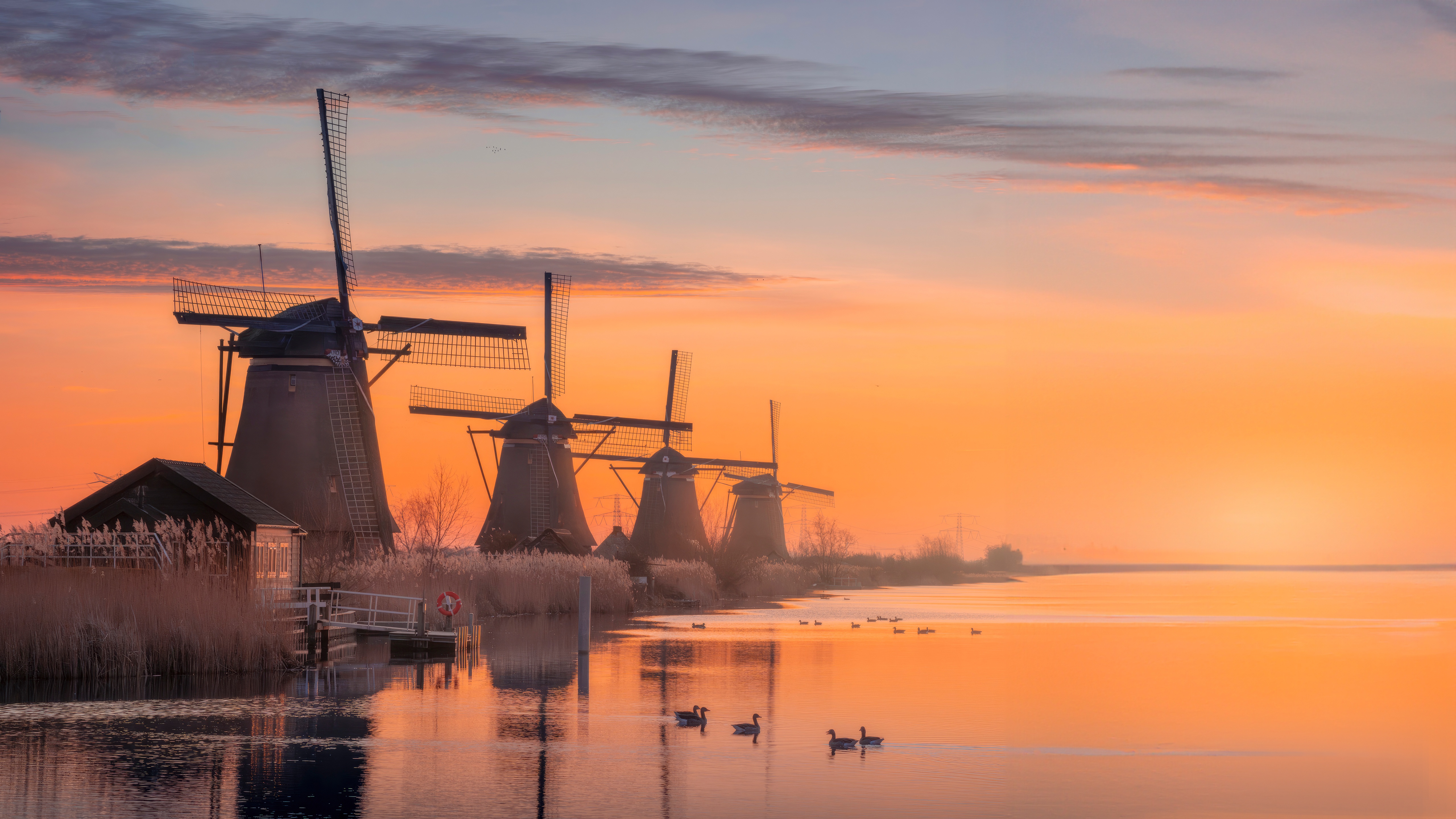 Windmills at sunrise in the Netherlands HD Wallpaper