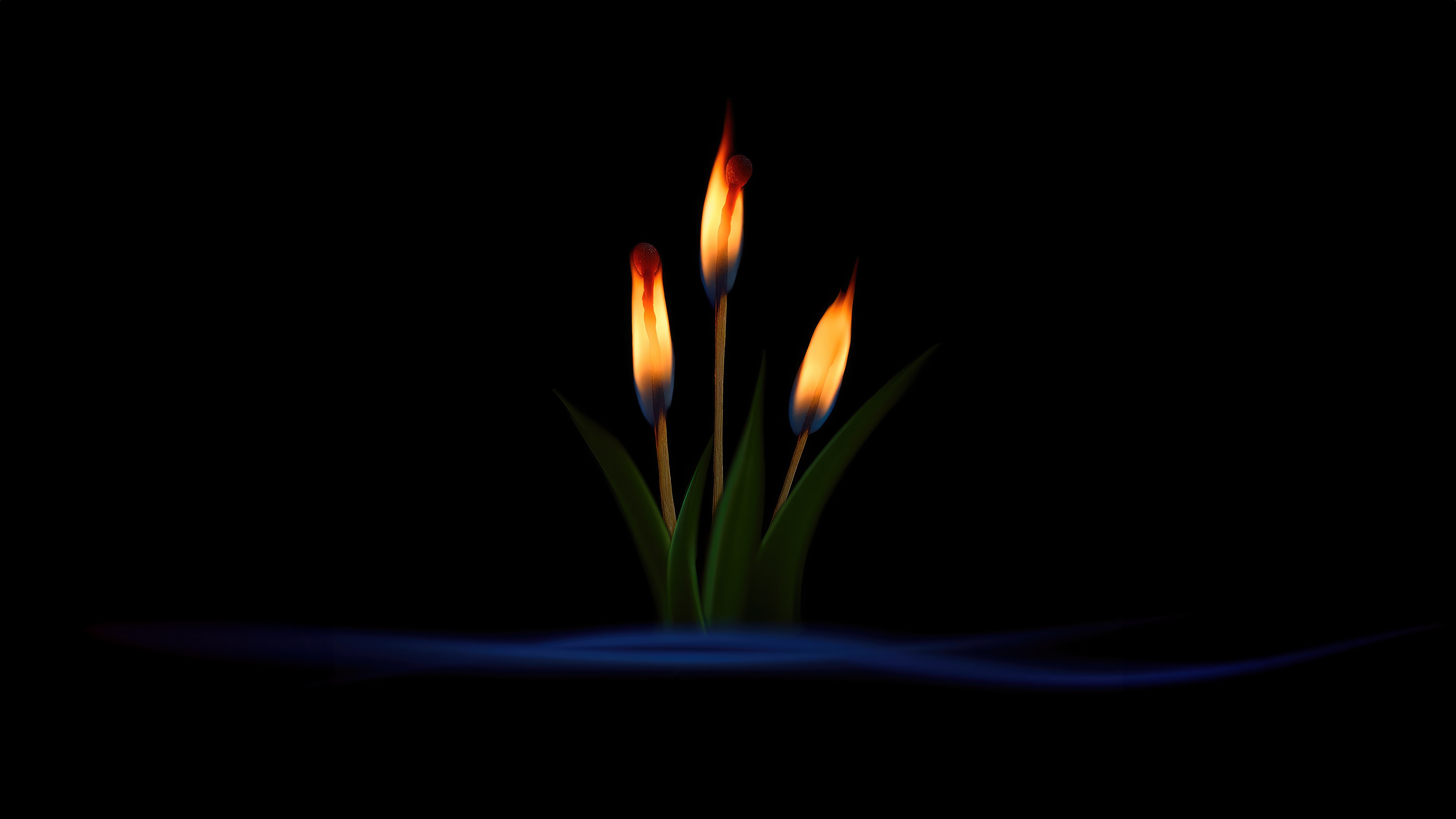 Three burning matches with green leaves HD Wallpaper
