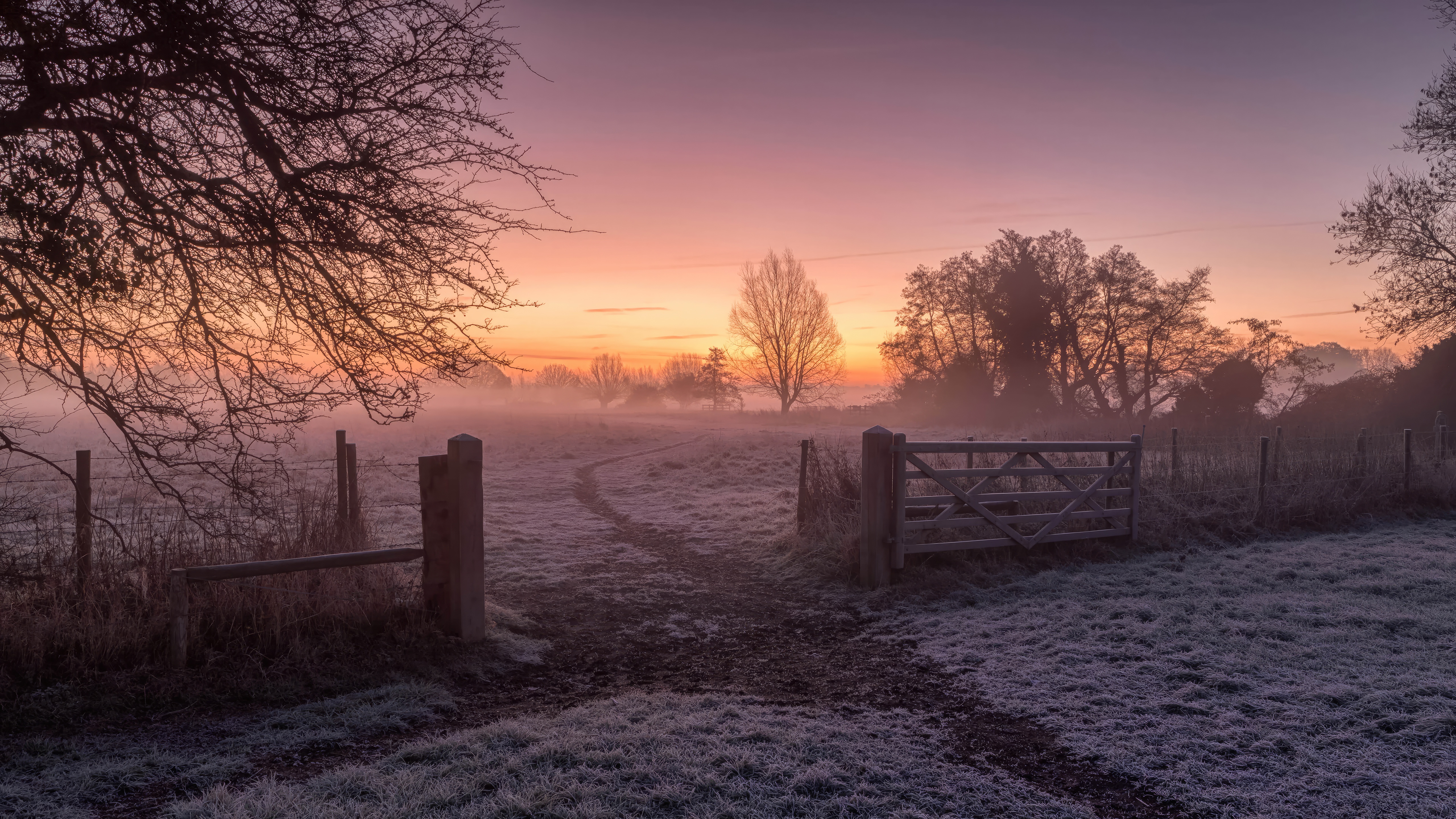 Misty Sunrise Over a Frosty Field with a Gate HD Wallpaper