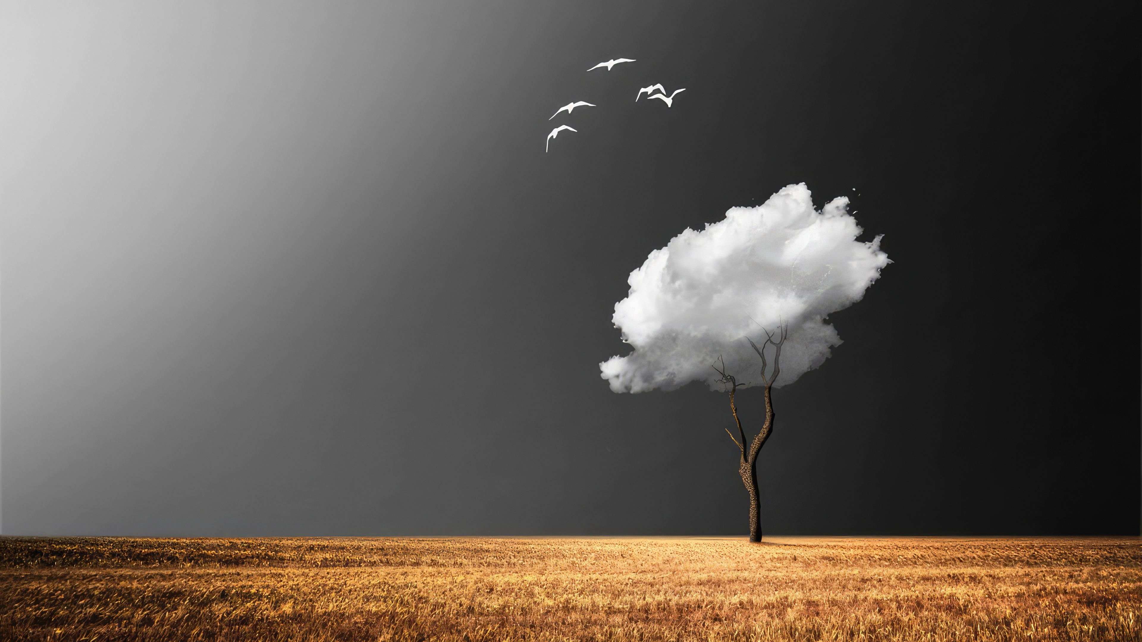 Tree with cloud and birds over field HD Wallpaper