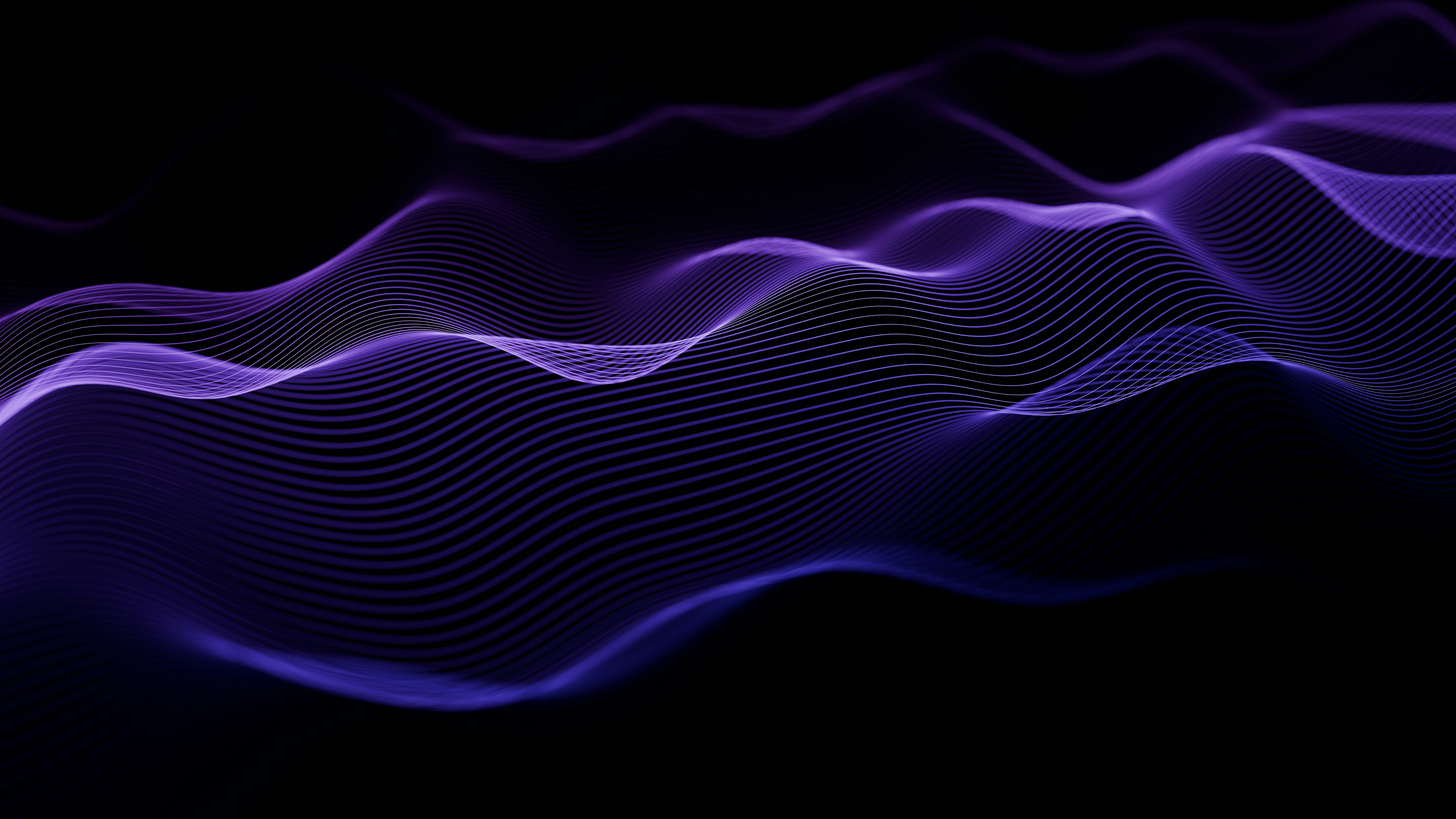 Abstract purple waves of light on a black background HD Wallpaper