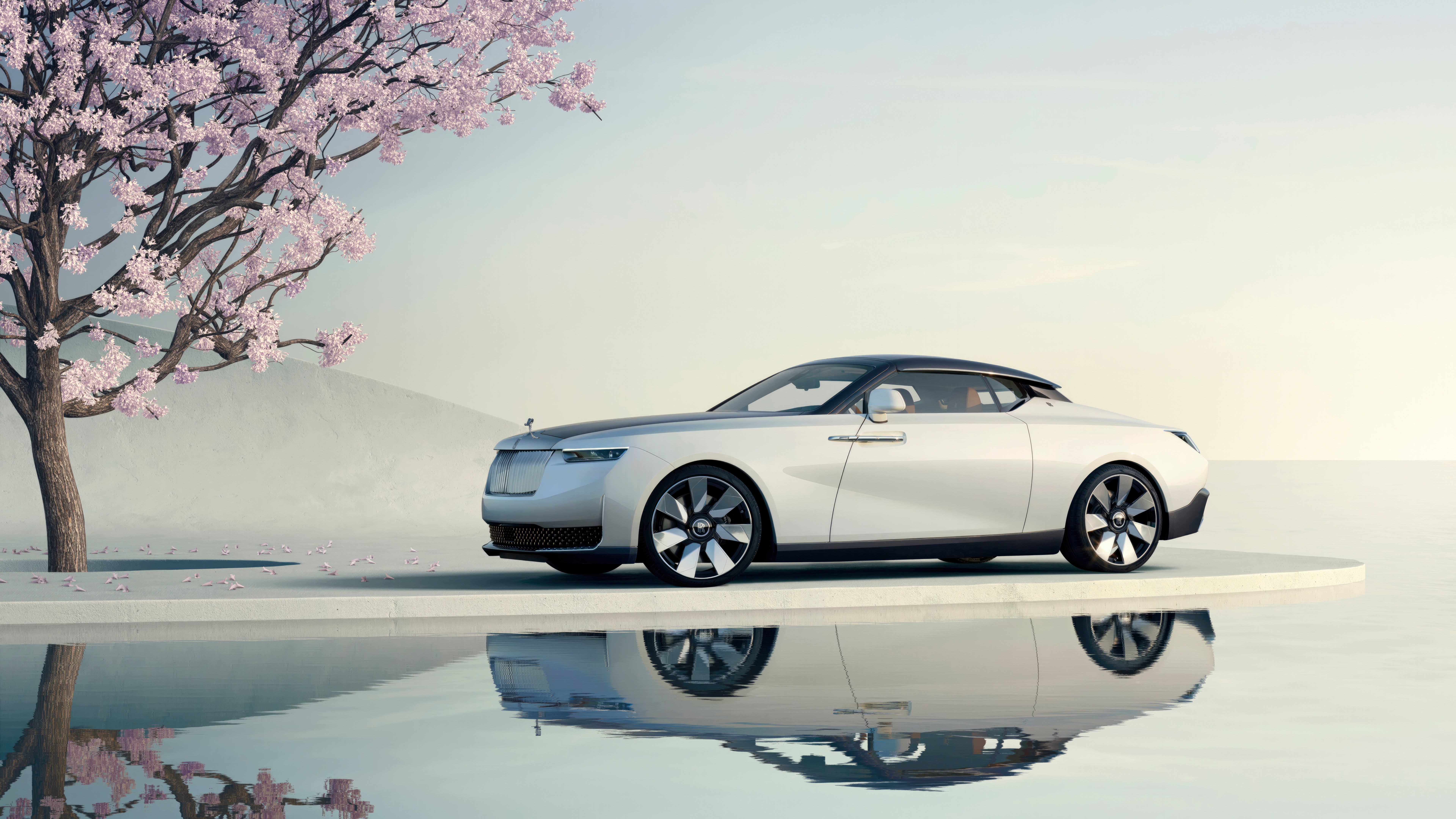Rolls Royce Droptail Arcadia parked by a cherry blossom tree HD Wallpaper
