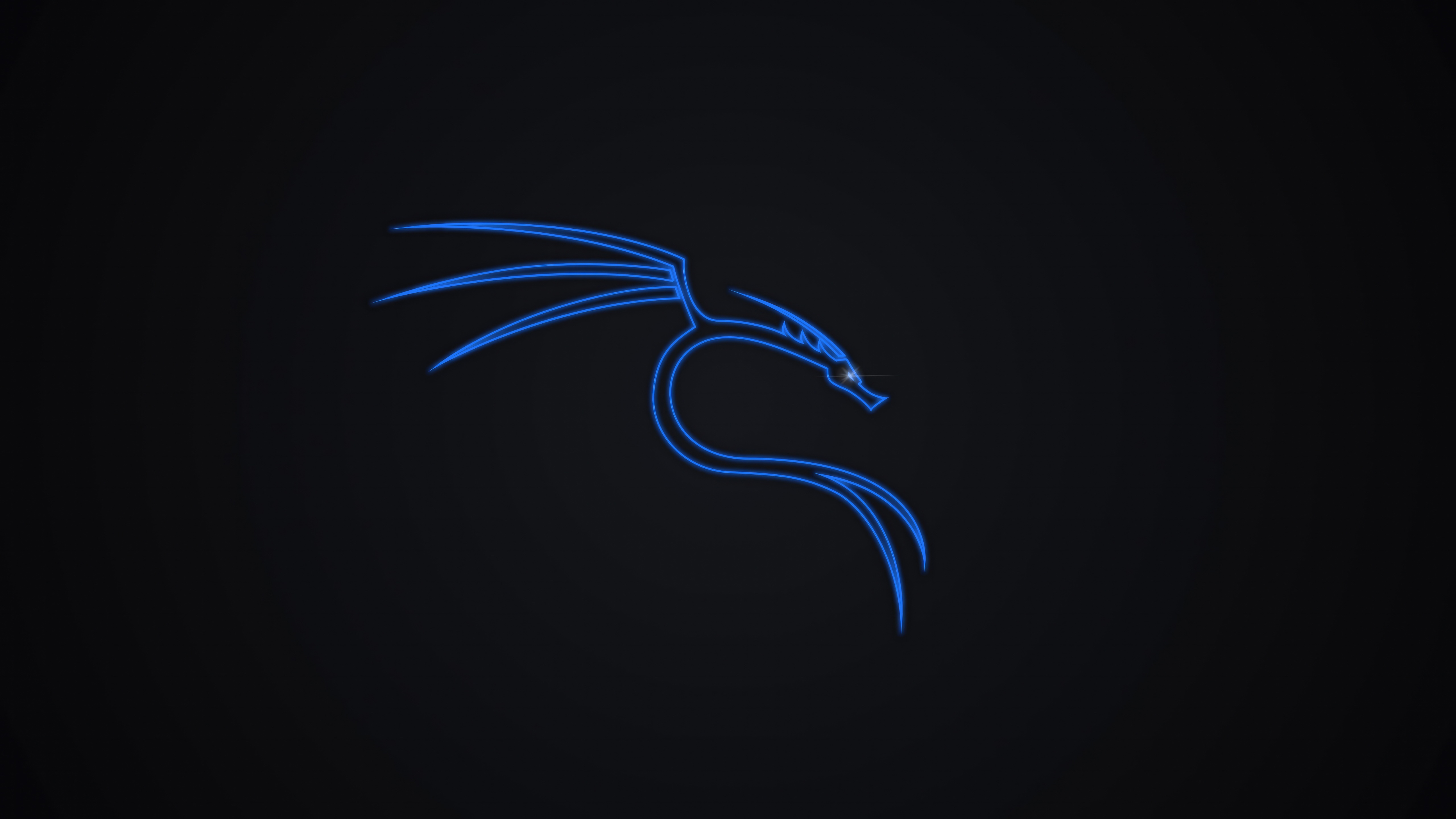 Kali Linux Dragon Logo HD Wallpaper