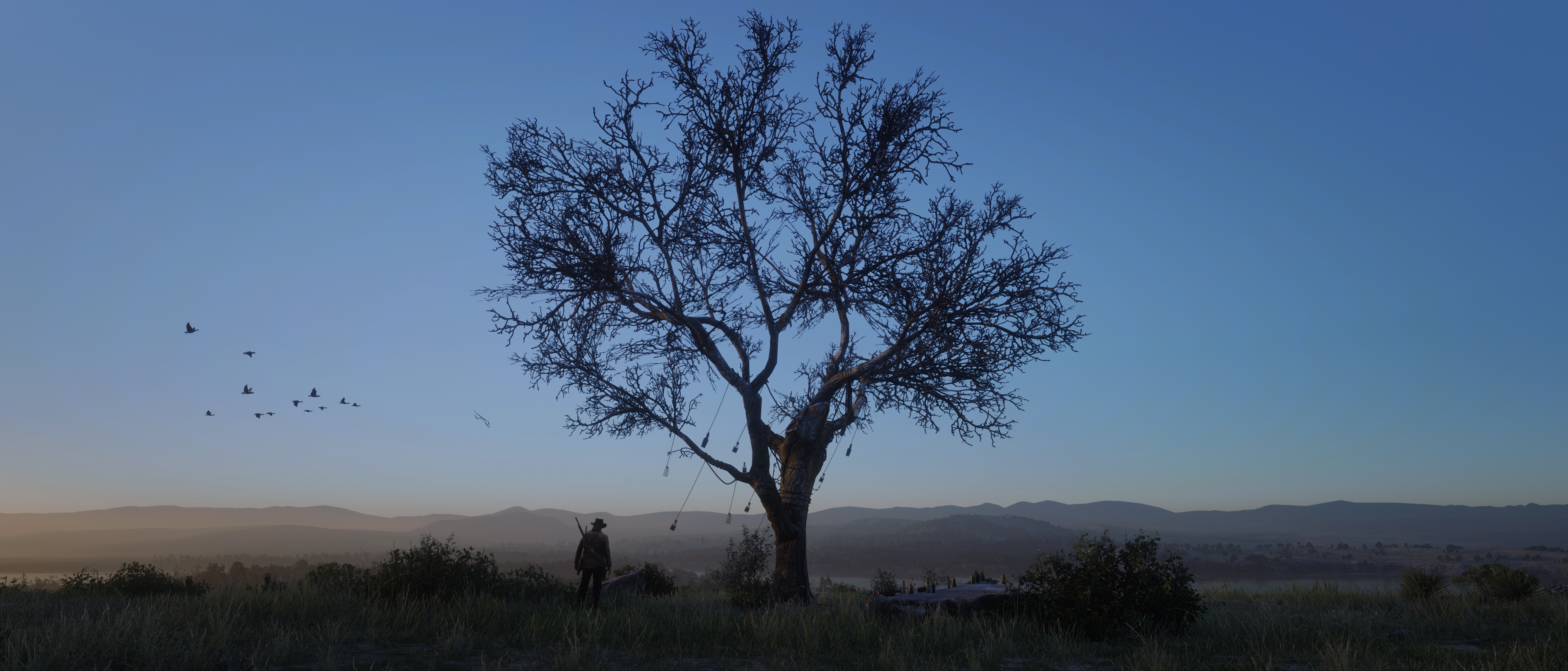Red Dead Redemption 2 Tree with Hanging Objects HD Wallpaper