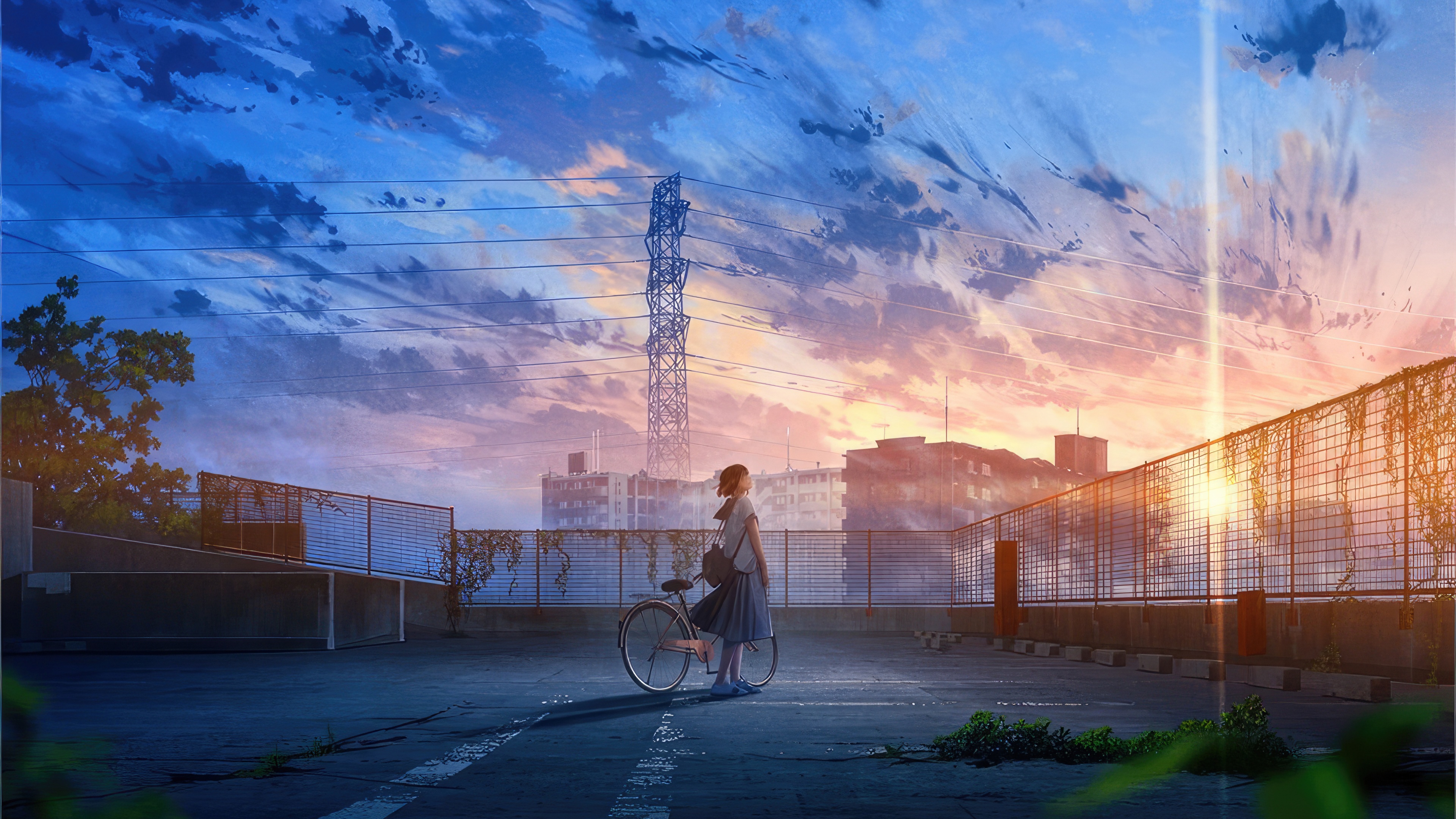Anime school girl with bicycle on rooftop at sunset HD Wallpaper